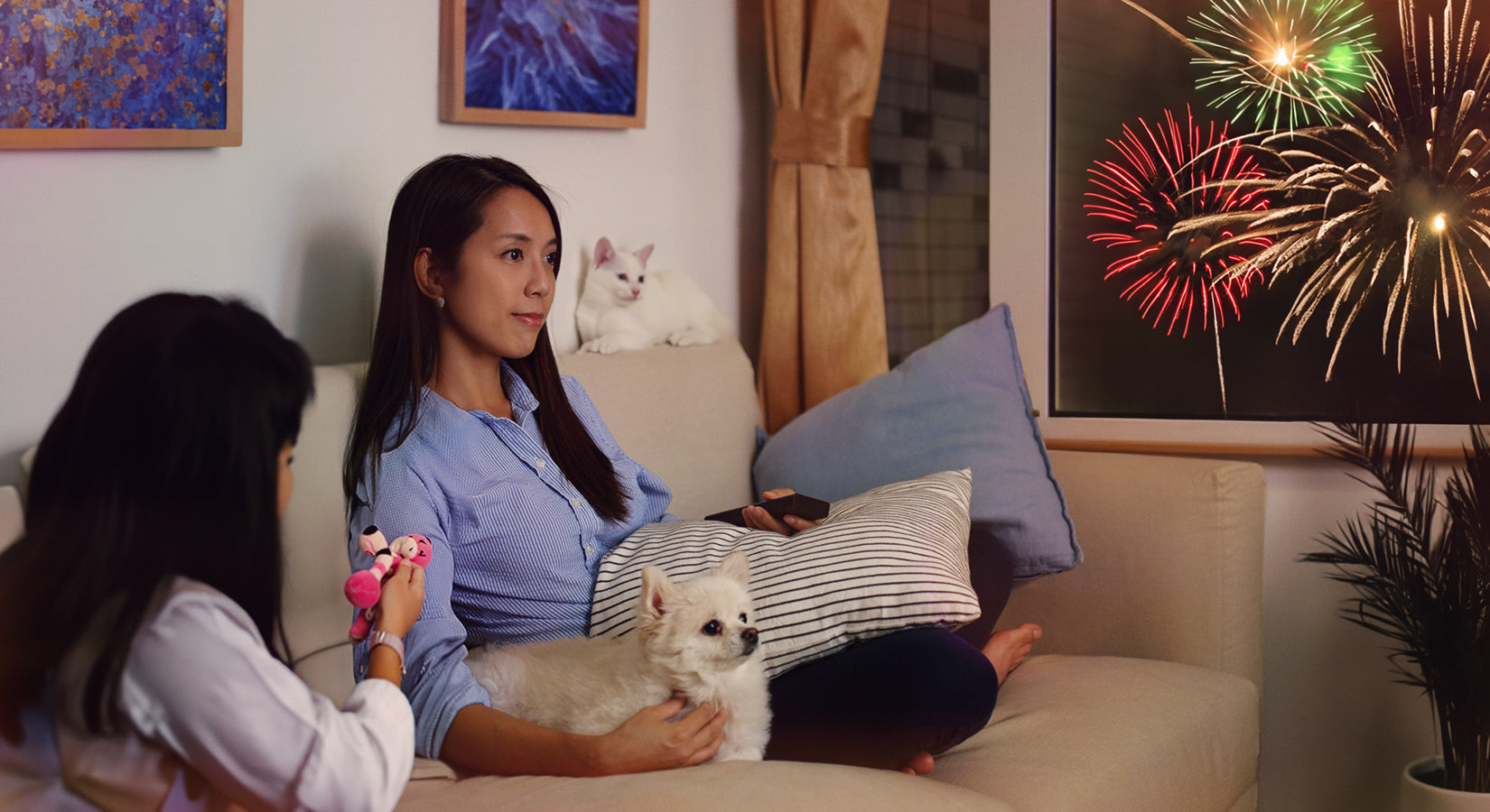 How to keep your pets safe and happy on Bonfire Night