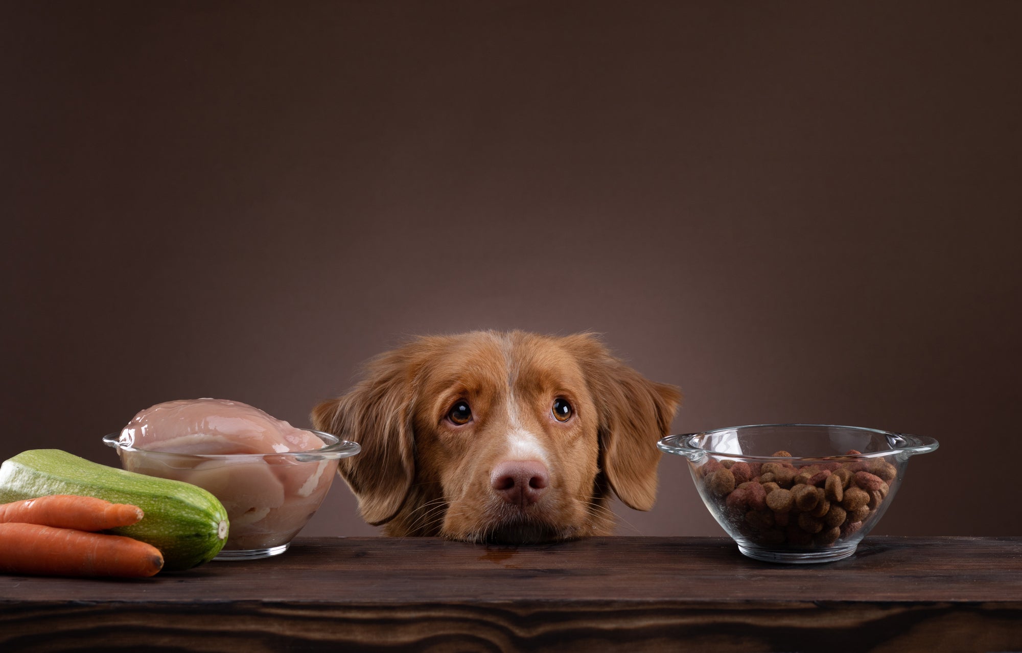 Raw dog food – Is it a good idea or not?