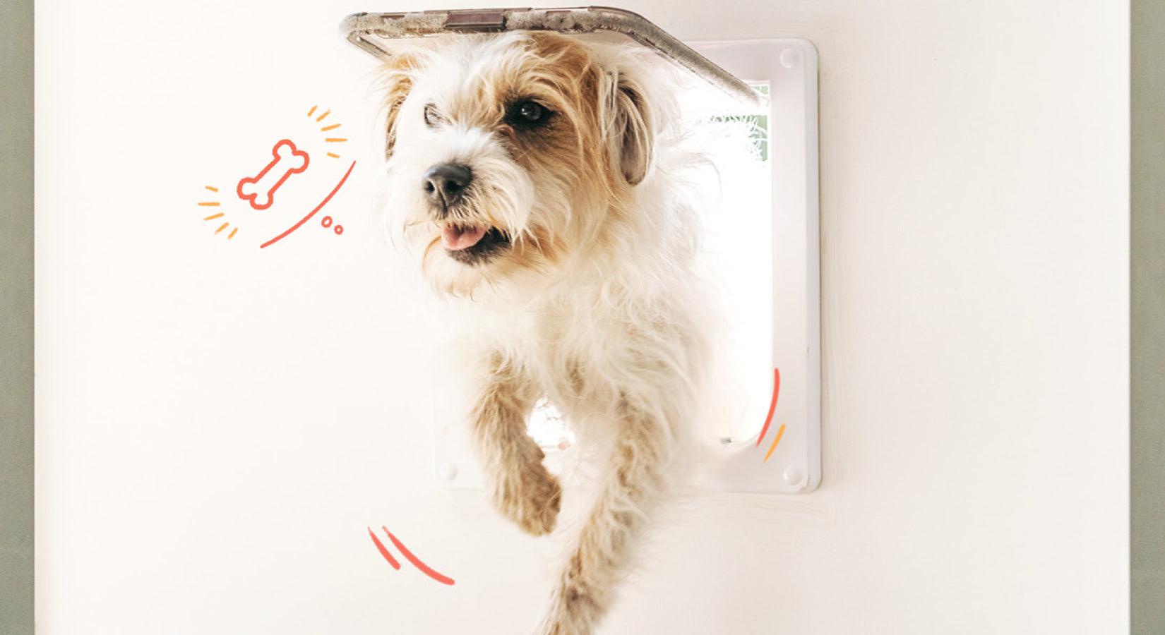 The ins and outs of pet doors
