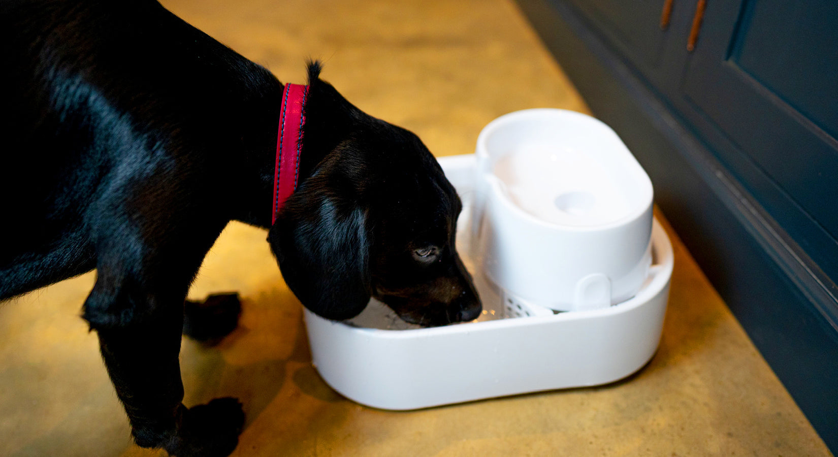 The importance of hydration in winter