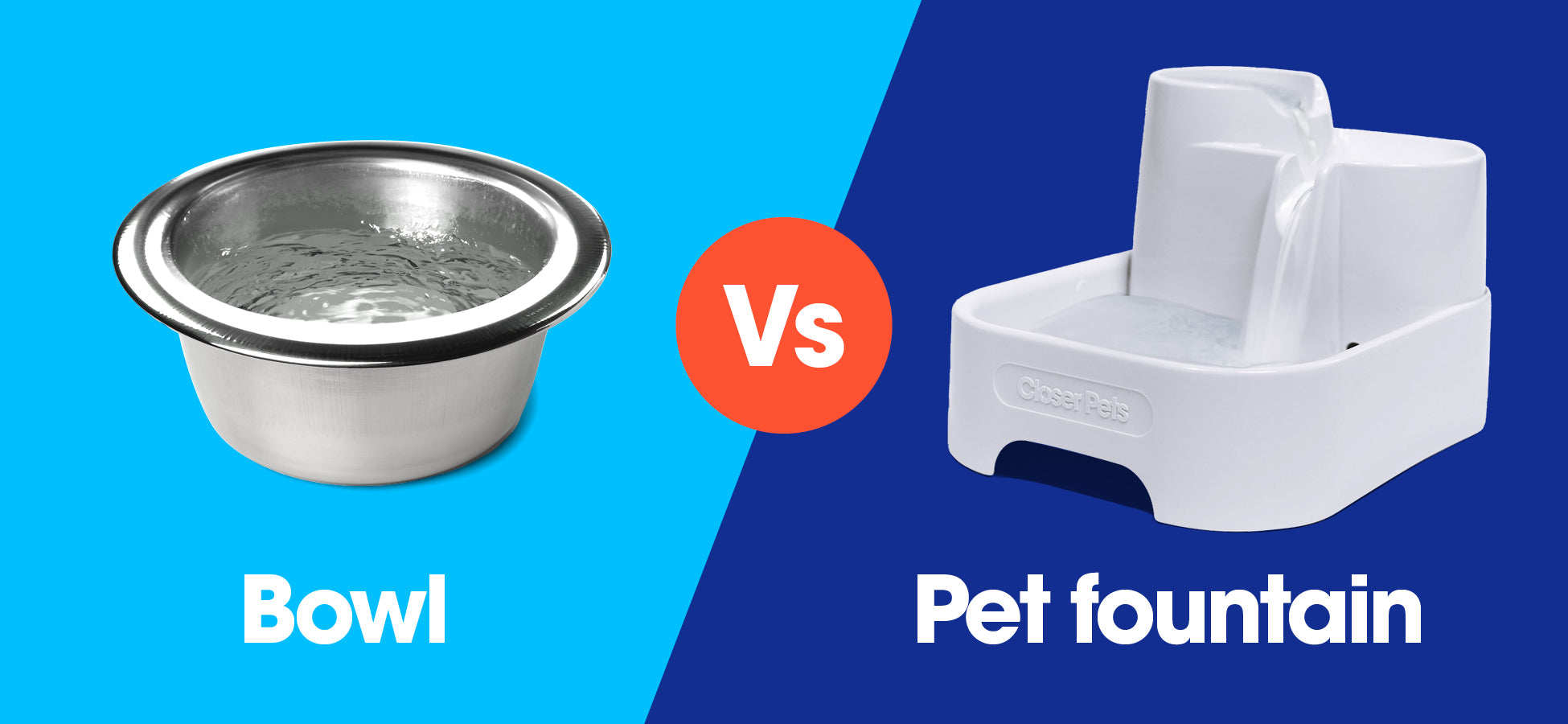 How to Choose the Best Dog Water Dispenser - PetHelpful