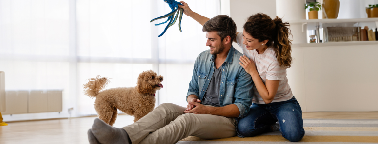 The Best Pet Doors for Dogs