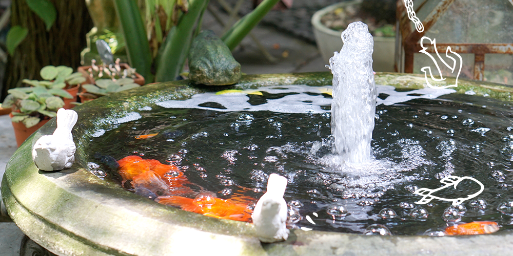 Does a Pond Need a Pump?