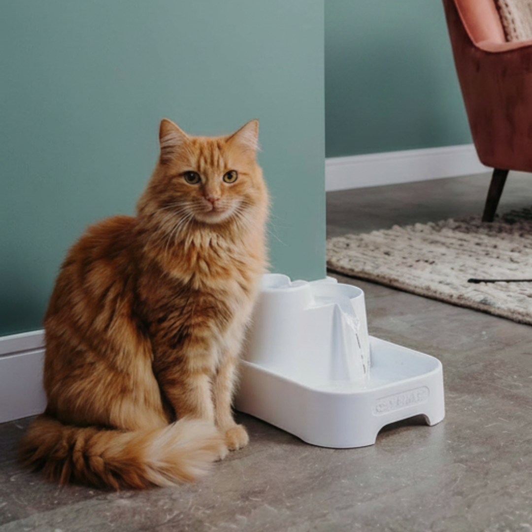 Cat Mate Three-level Cat & Small Dog Pet Water Drinking Fountain (335)