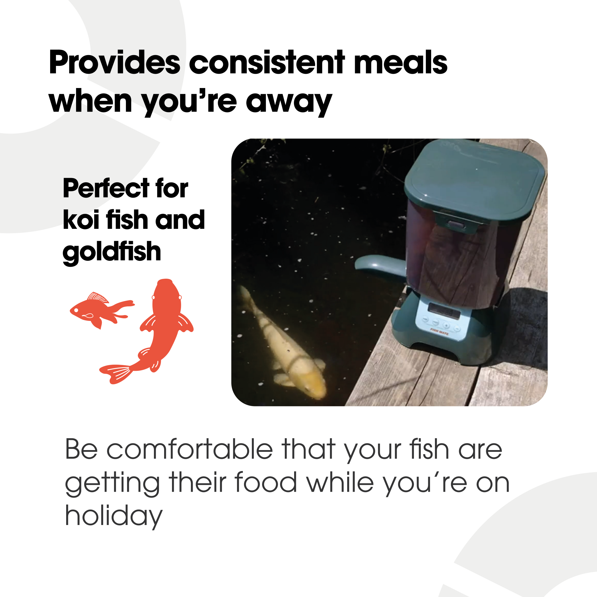 An infographic displaying black text on a white background showing the benefits of using the fish feeder, such as 'perfect for koi fish and goldfish' and 'provides consistent meals while you're away'