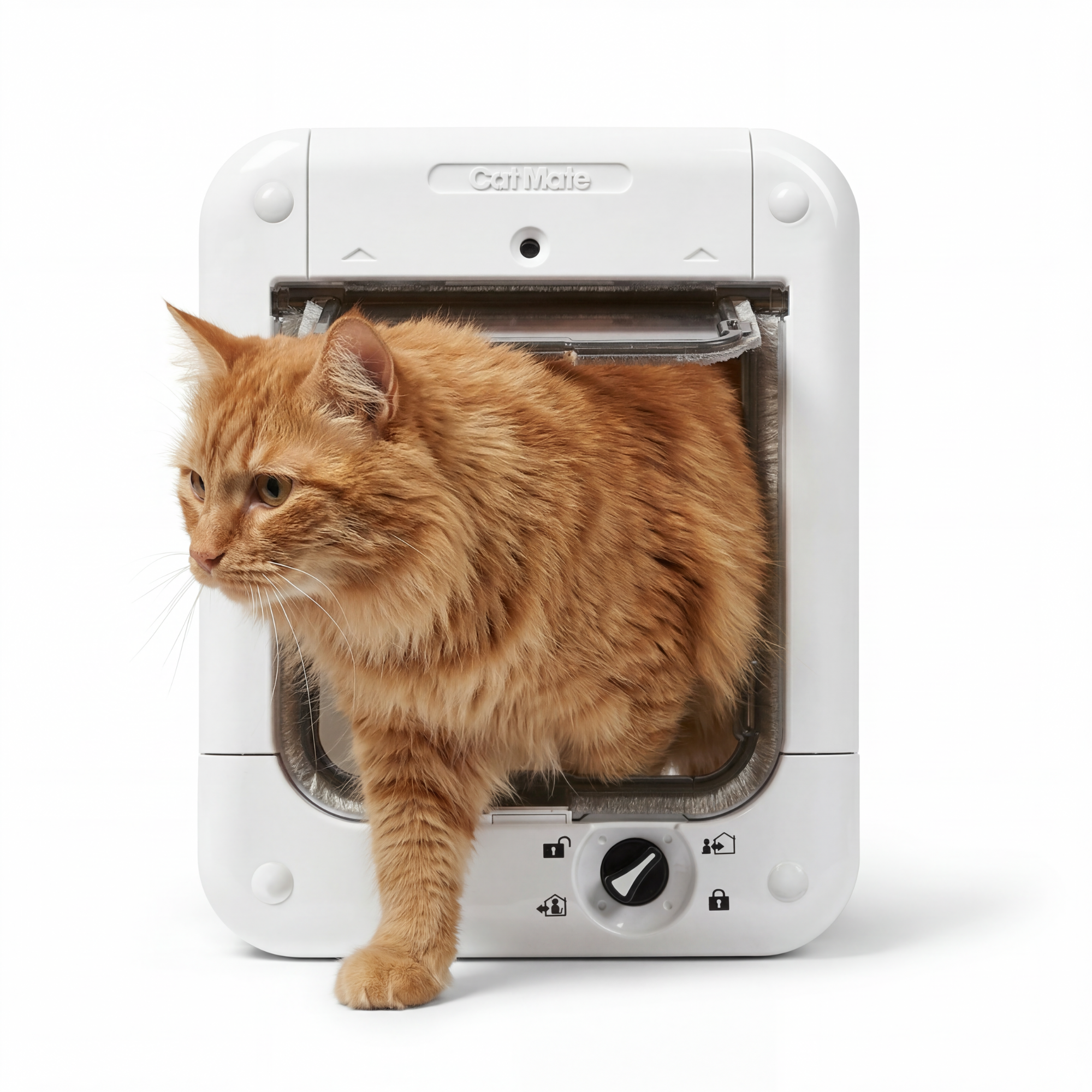 Cat Mate Microchip-Activated Cat Flap with Manual Lock (360)
