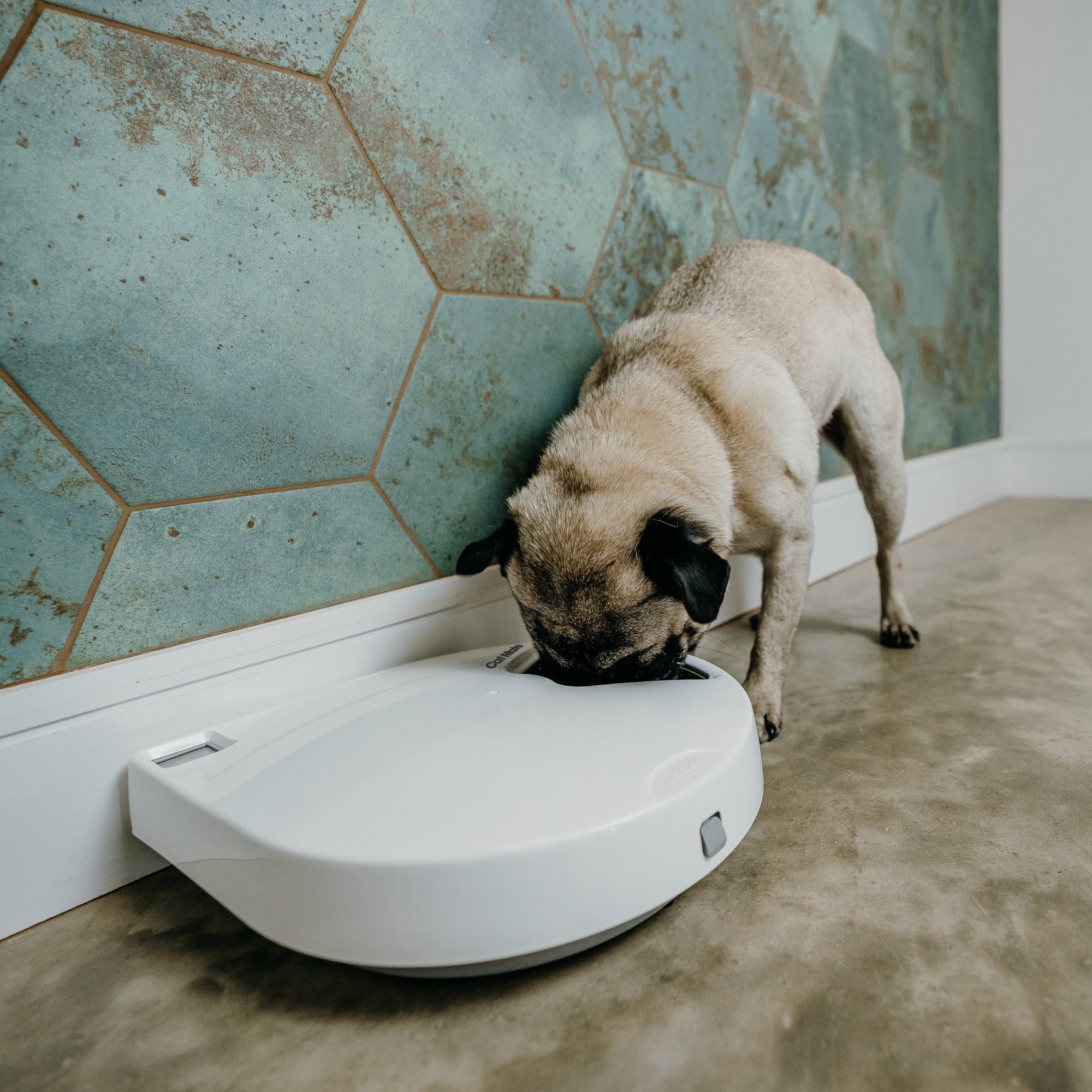 Cat Mate Five-meal Automatic Pet Feeder with Digital Timer (C500)