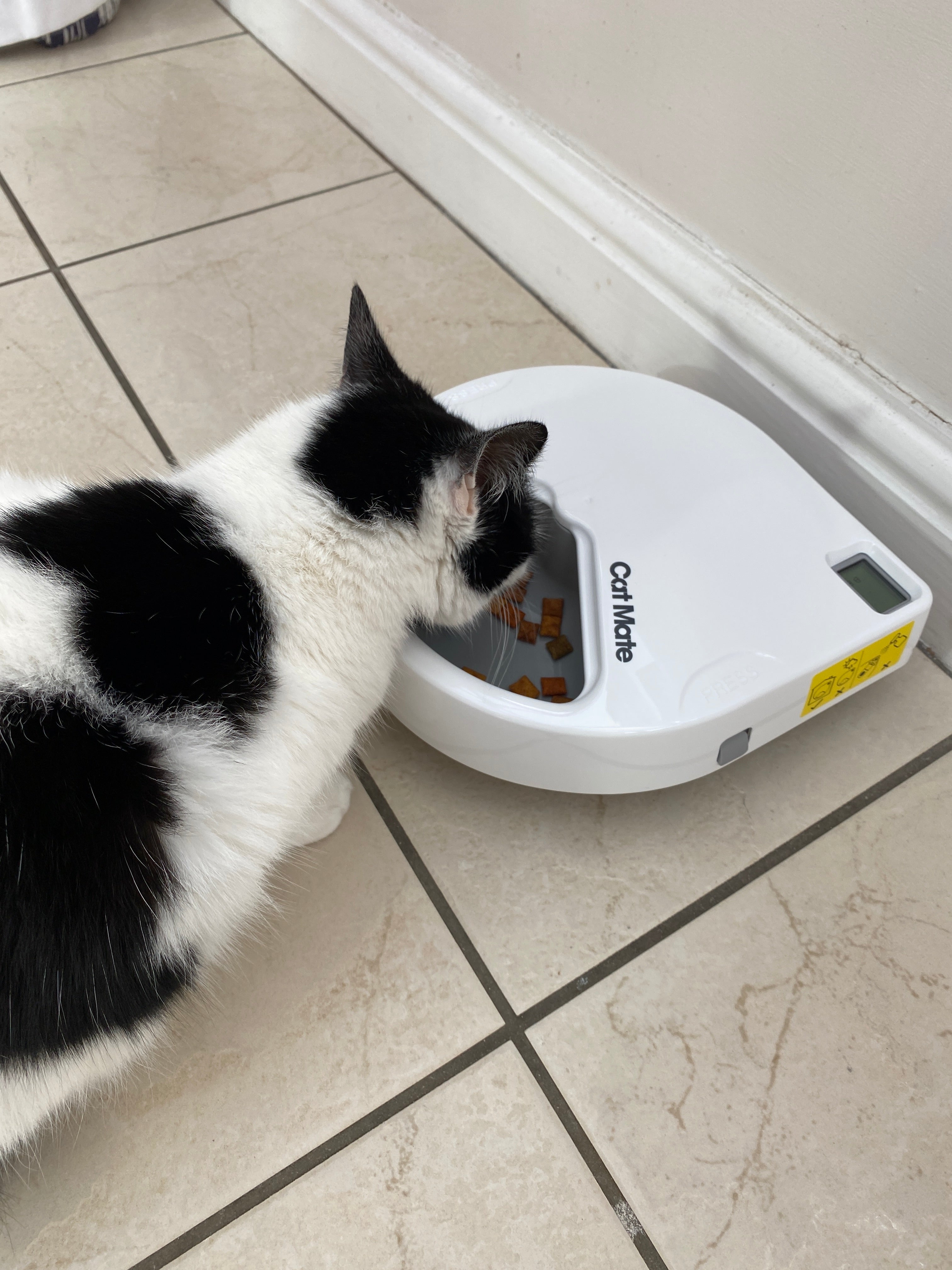 Cat Mate Three-meal Automatic Pet Feeder with Digital Timer (C300)