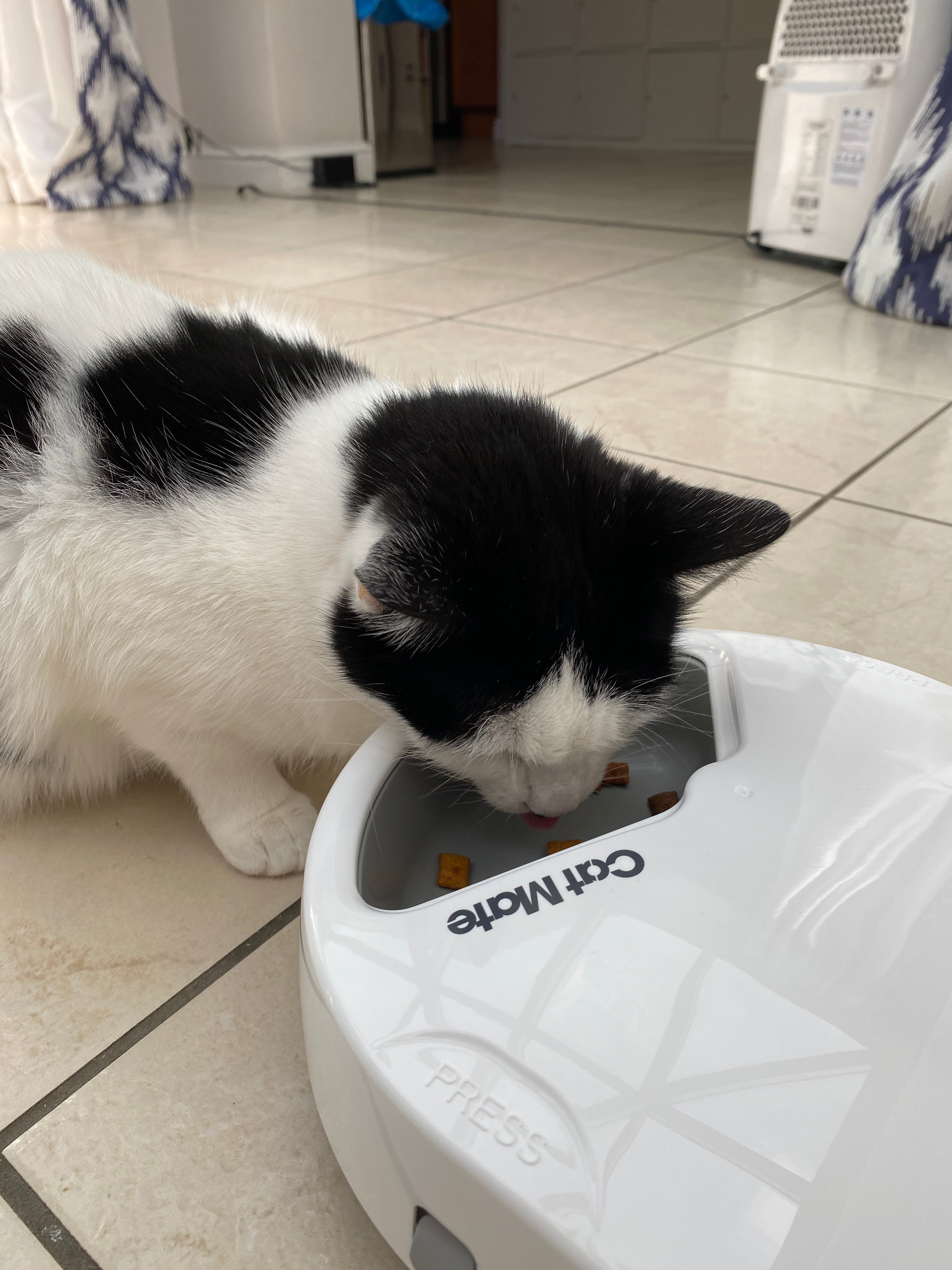 Cat Mate Three-meal Automatic Pet Feeder with Digital Timer (C300)