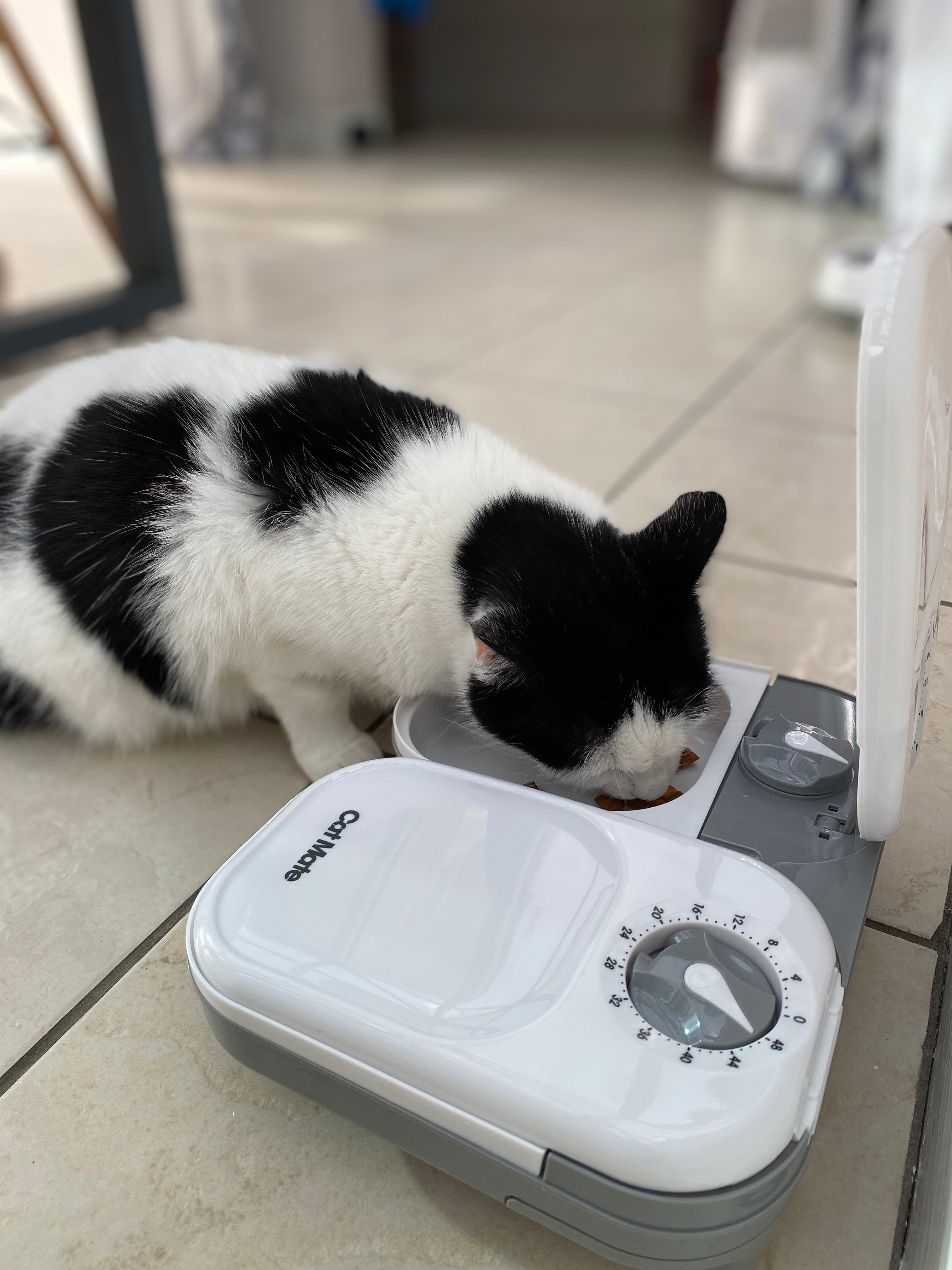 Cat Mate Two-meal Automatic Dry/Wet Food Pet Feeder (C200)