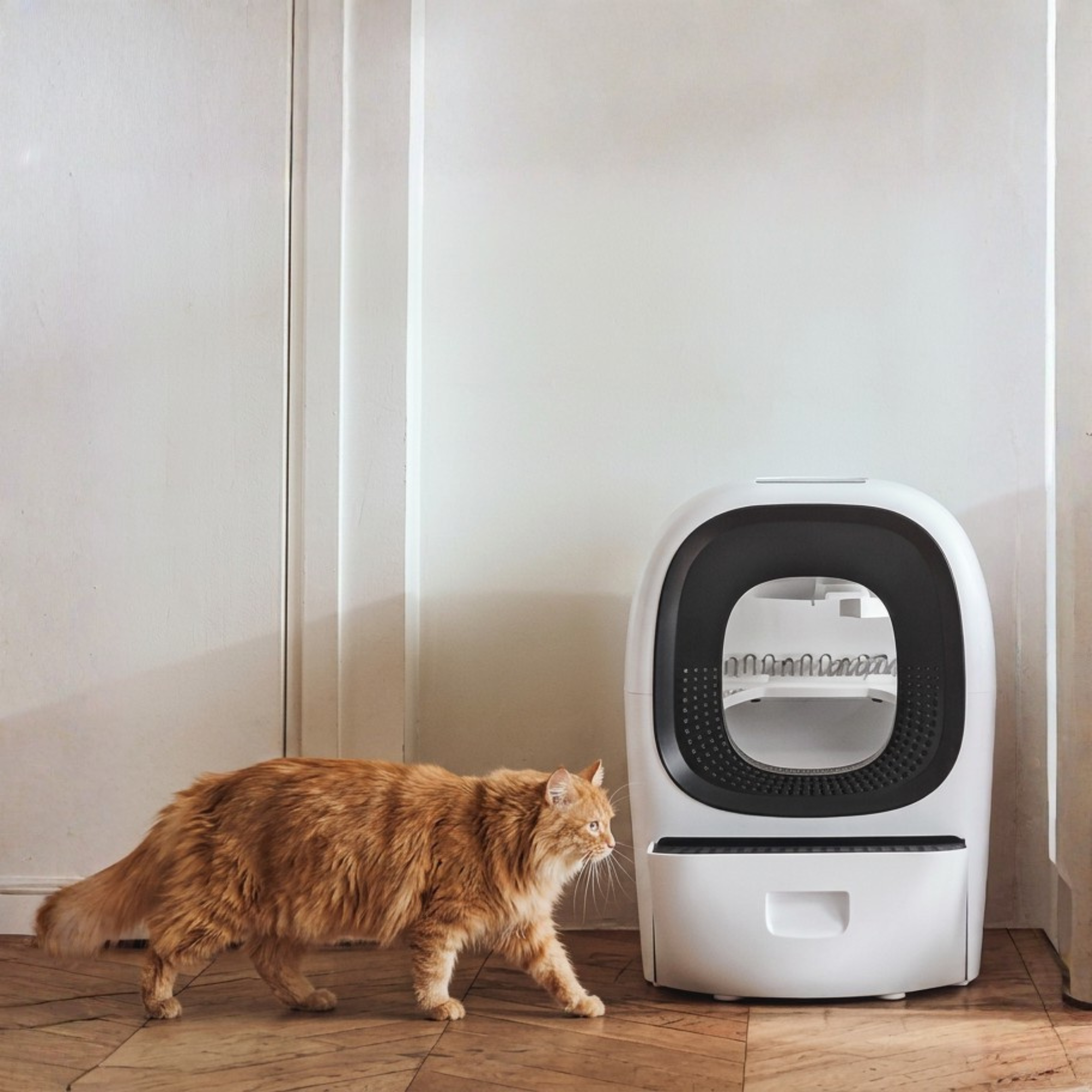 Cat Mate Automatic Self-Cleaning Cat Litter Box iOS Android