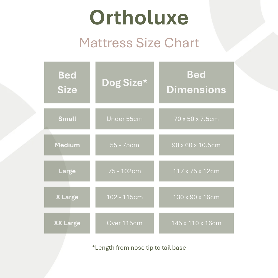 OrthoLuxe Mattress for Dogs