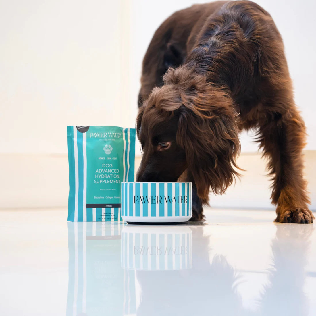 Pawer Water Joint Care & Glow Hydration Supplement for Dogs (5 Sticks Pouch)