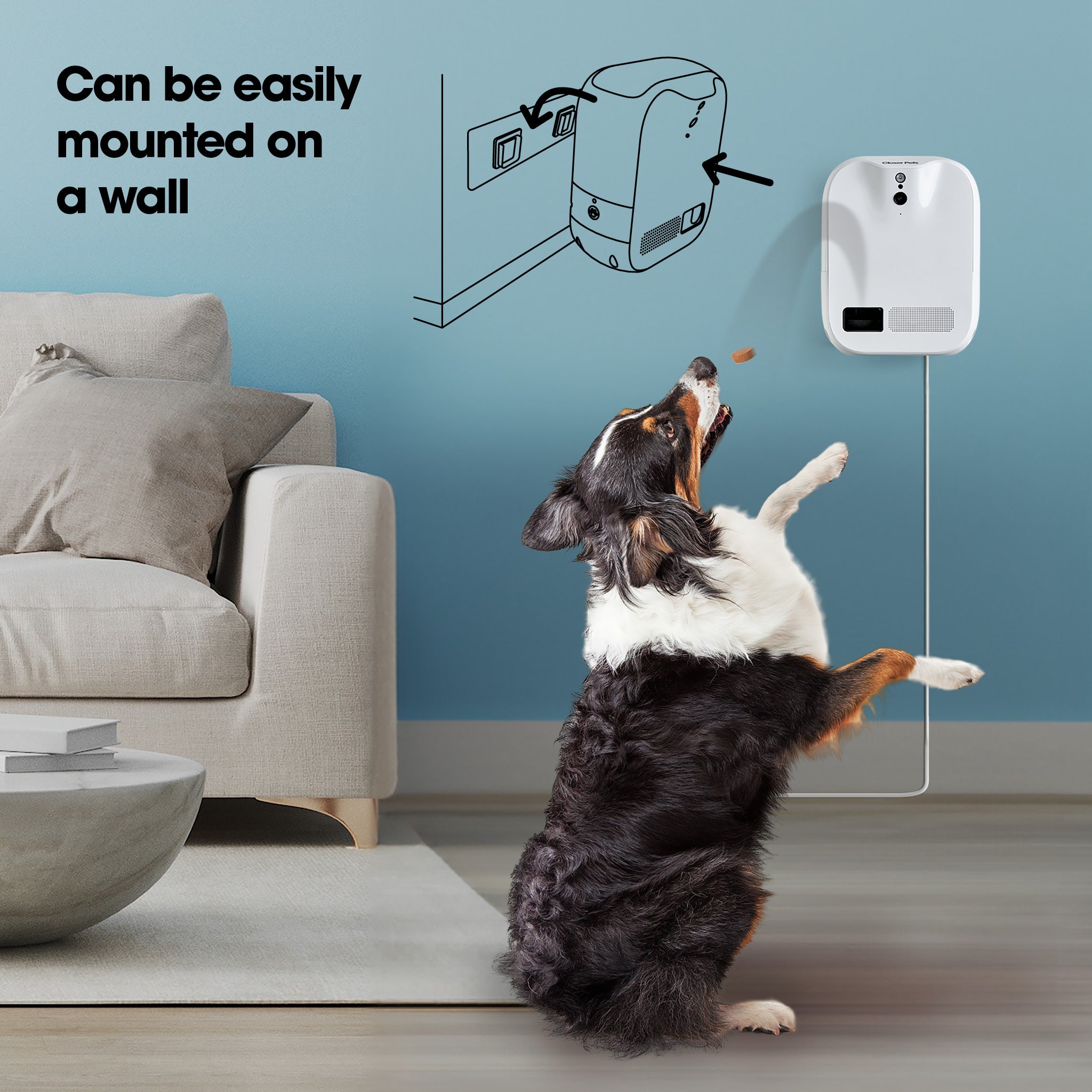 Closer Pets TreatView Pet Camera with Treat Dispenser (iOS/Android Compatible)