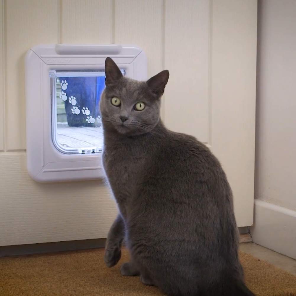 A lifestyle image on a grey cat sitting on a light brown coloured mat in front of the white cat flap that has been mounted in to a white door