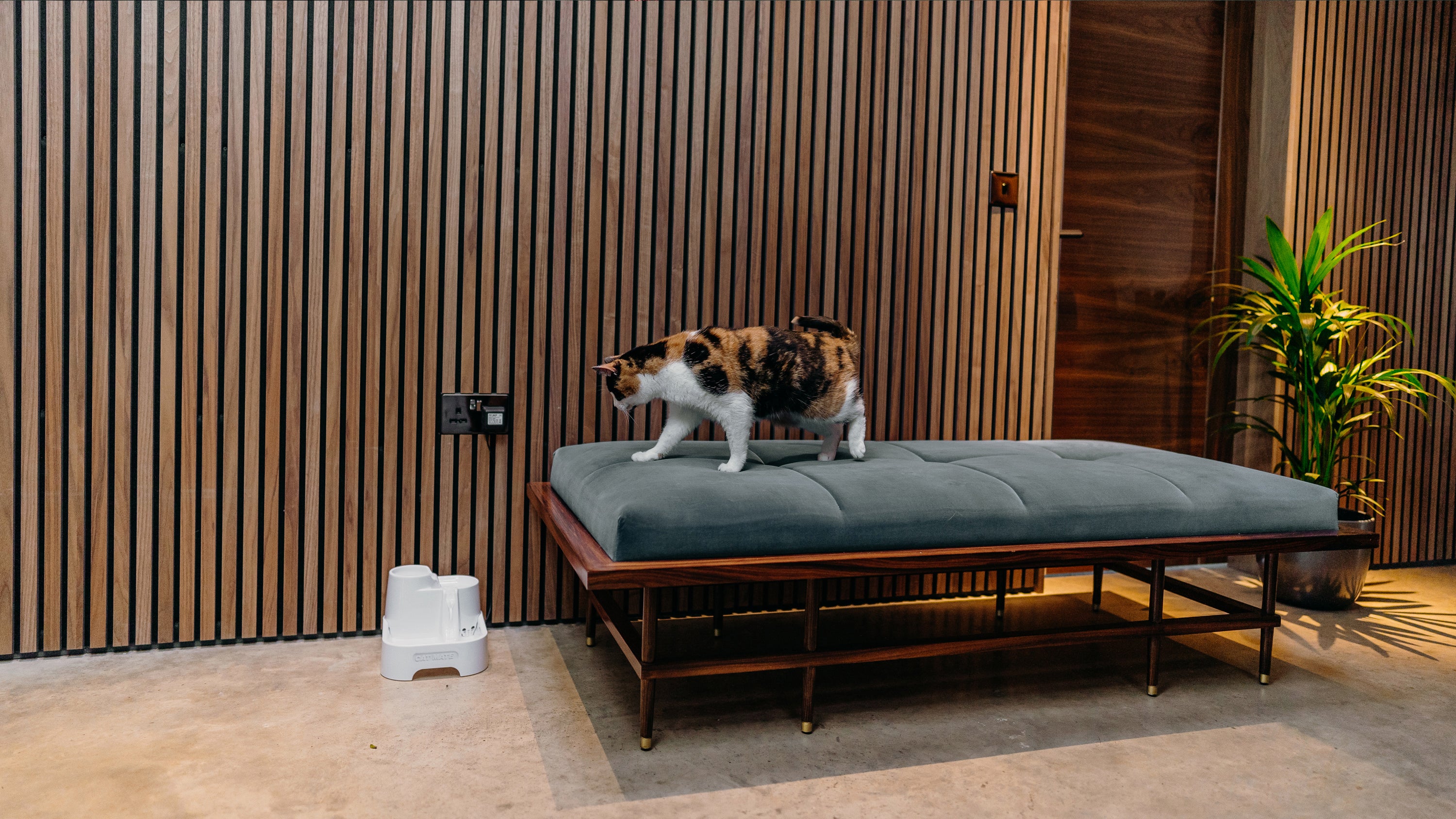 Cat Mate Three-level Cat & Small Dog Pet Water Drinking Fountain White (335W)