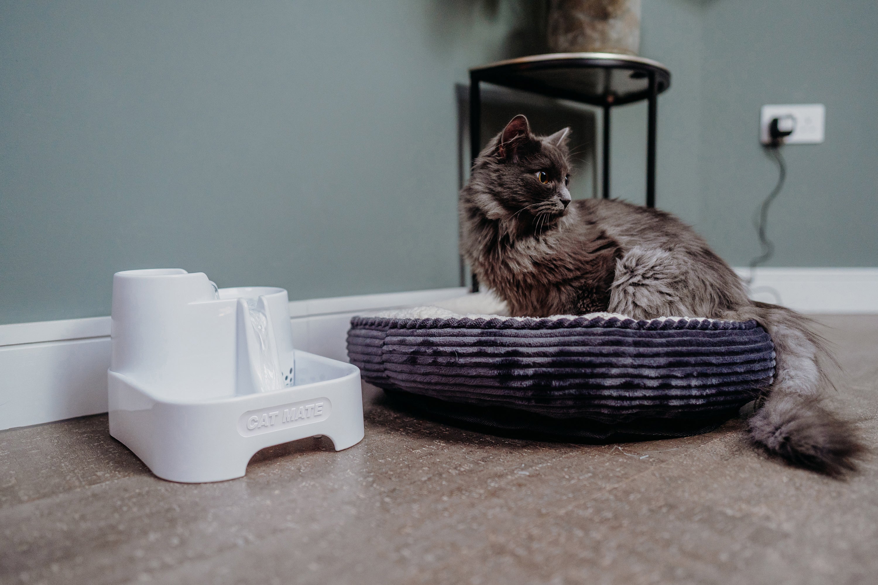 Cat Mate Three-level Cat & Small Dog Pet Water Drinking Fountain White (335W)