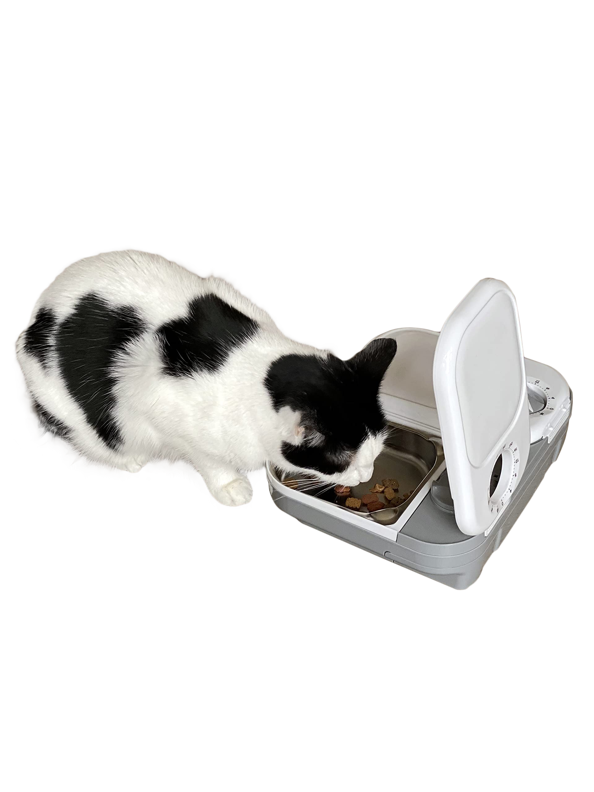Closer Pets Two-Meal Automatic Dry/Wet Food Pet Feeder with Stainless Steel Bowl Inserts (C200)