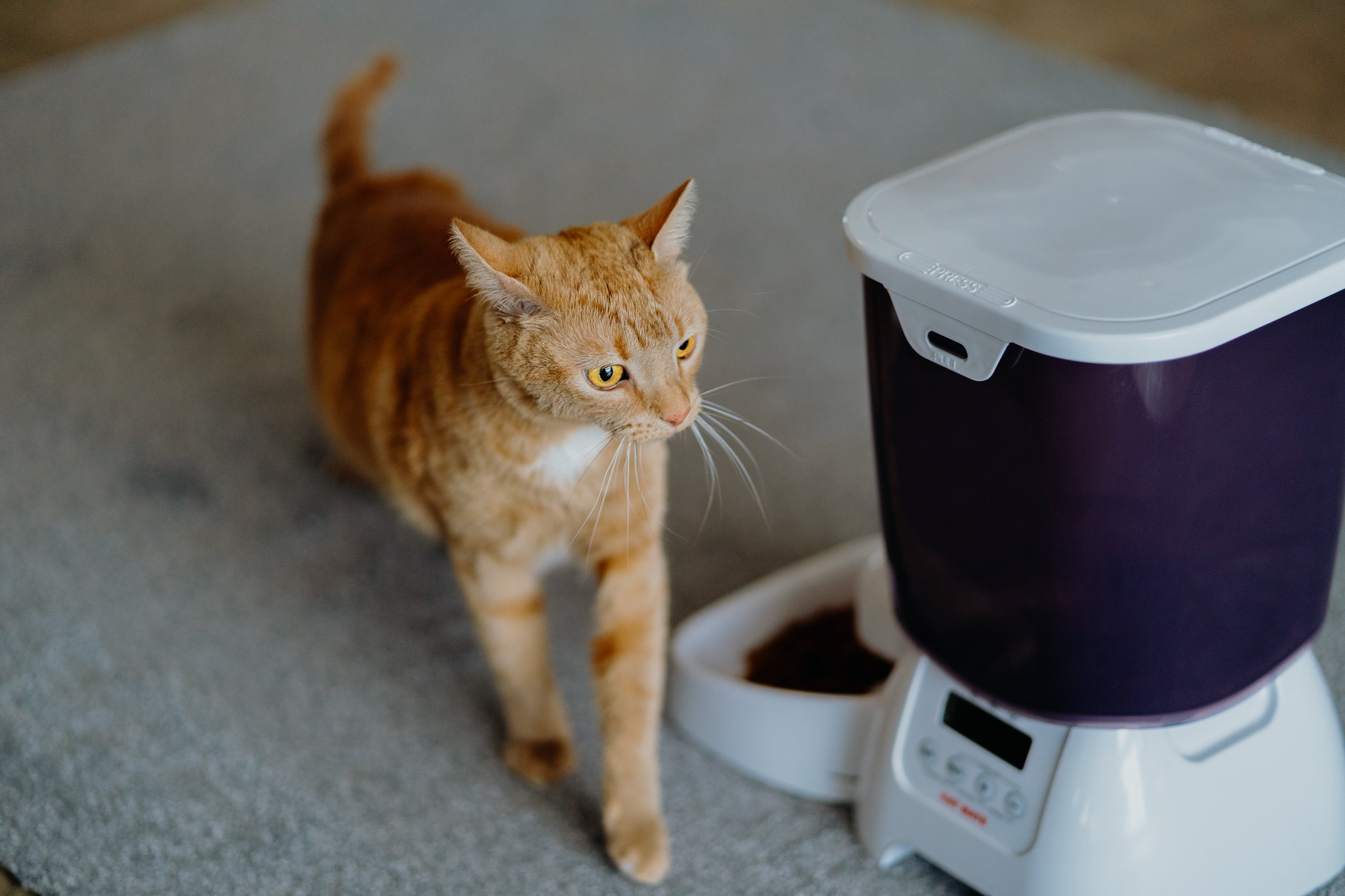 Cat Mate Multi-meal Automatic Dry Food Pet Feeder with Digital Timer (C3000)