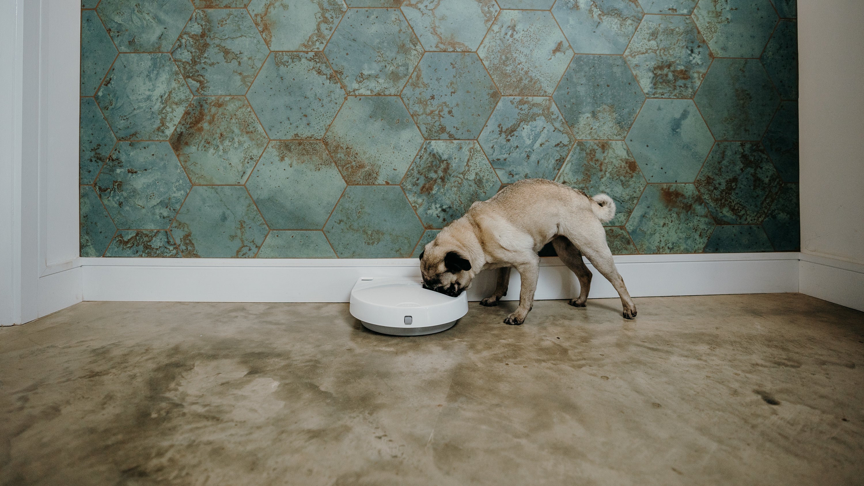 Cat Mate Three-meal Automatic Pet Feeder with Digital Timer (C300)
