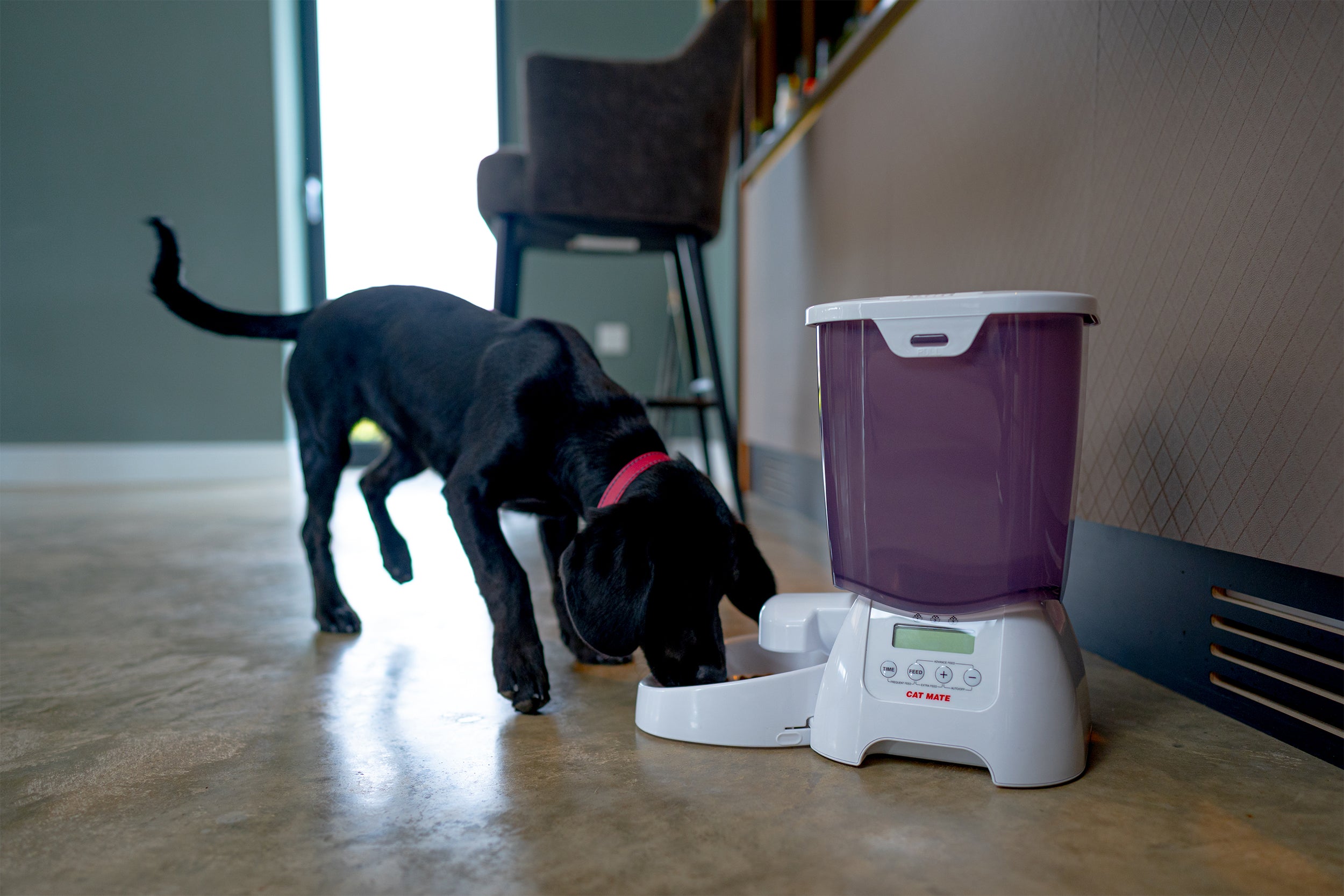 Cat Mate Multi-meal Automatic Dry Food Pet Feeder with Digital Timer (C3000)