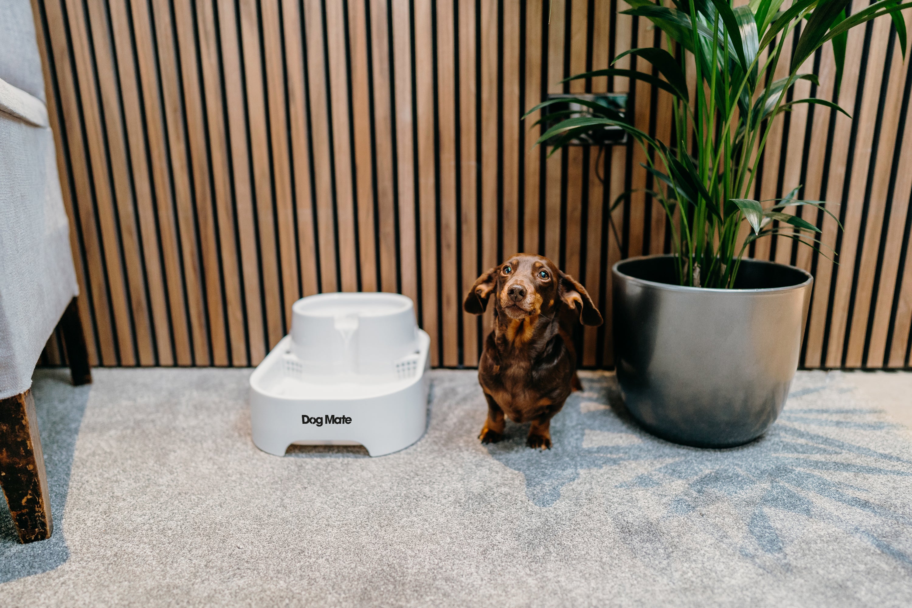 Dog Mate Large Two-level Six-litre Pet Fountain – White (385)