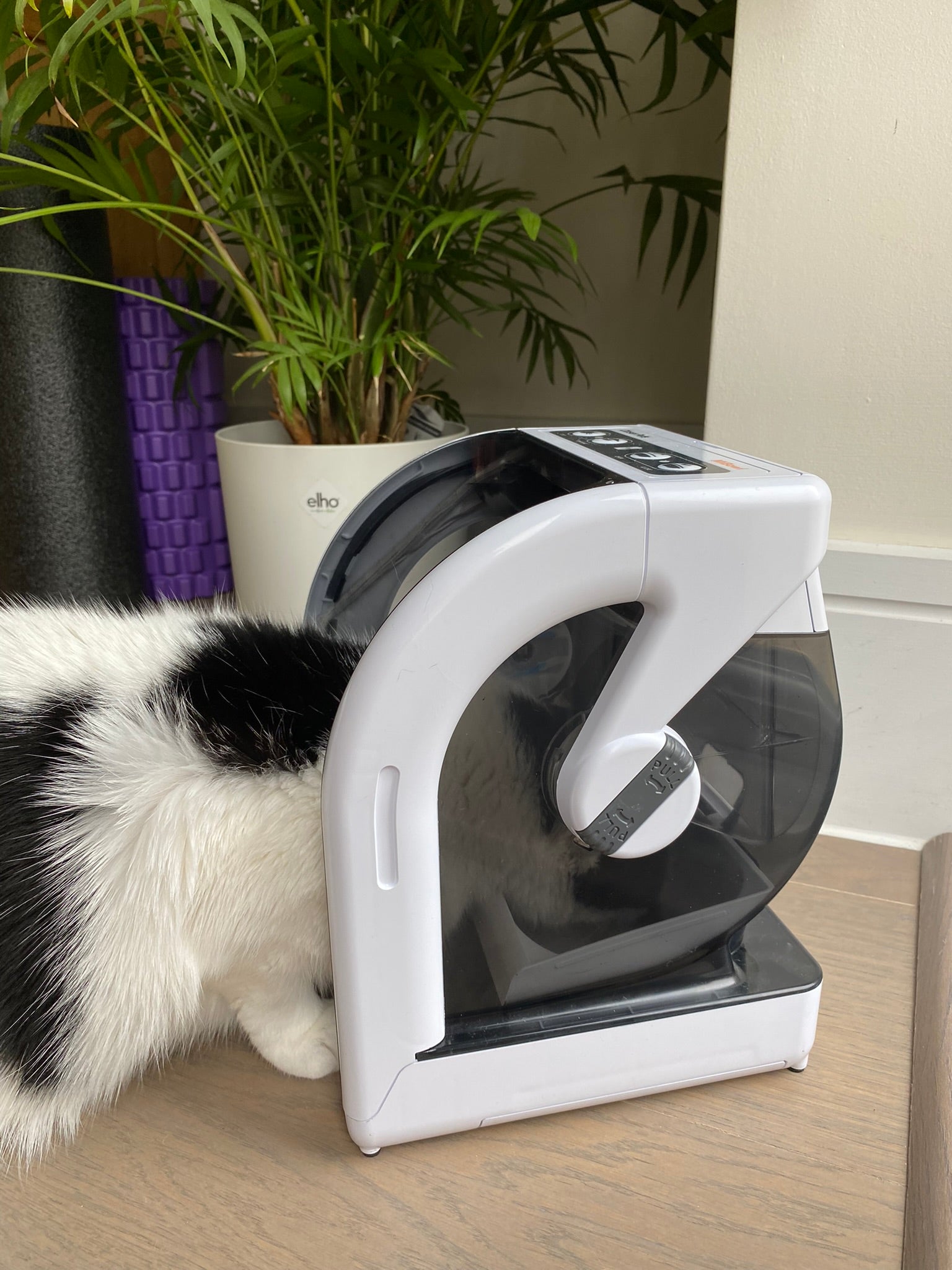 Closer Pets MiBowl Automatic Selective Microchip Pet Feeder (CP500)