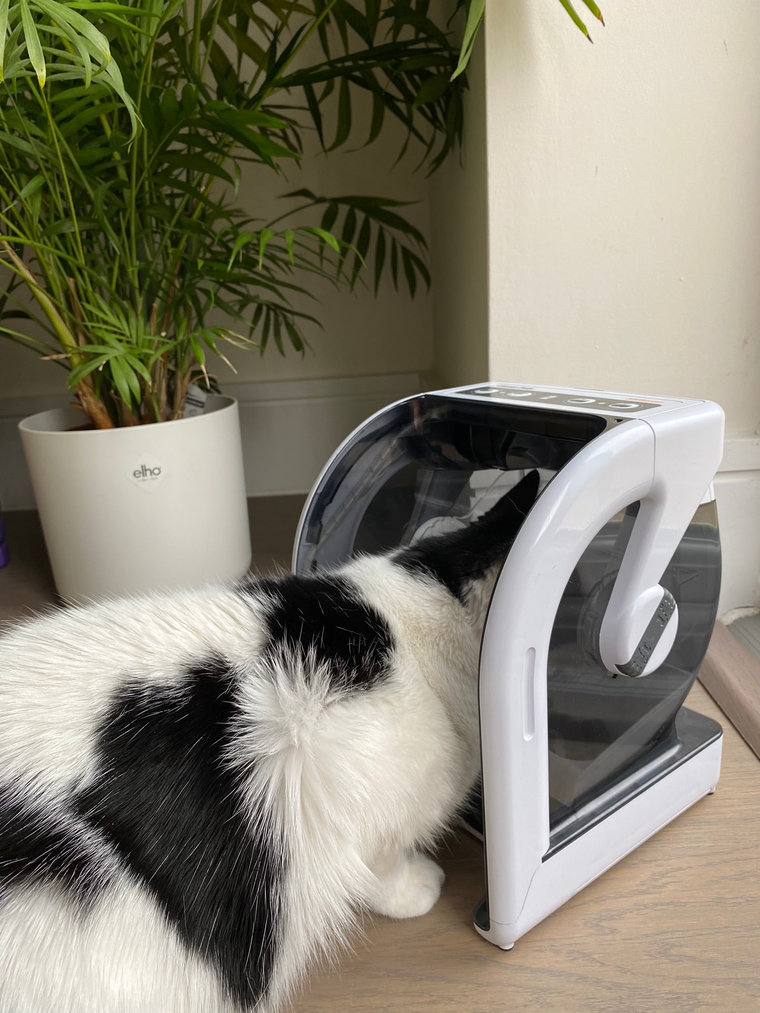 Closer Pets MiBowl Automatic Selective Microchip Pet Feeder (CP500)