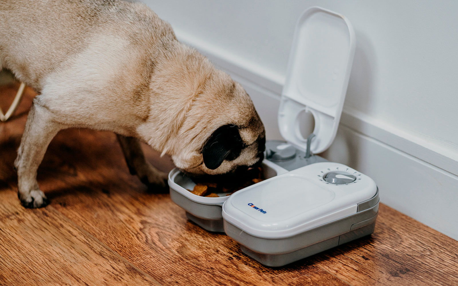 Closer Pets Two-meal Automatic Dry/Wet Food Pet Feeder (C200)