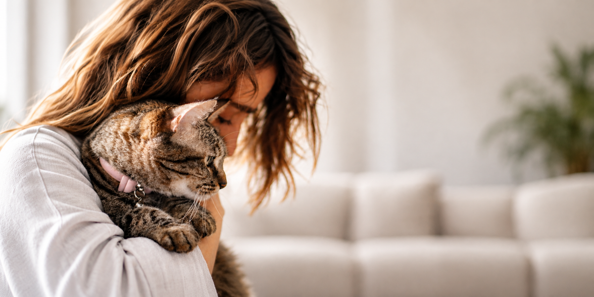Lost Cat Awareness Day: Helping Keep Curious Cats Safe