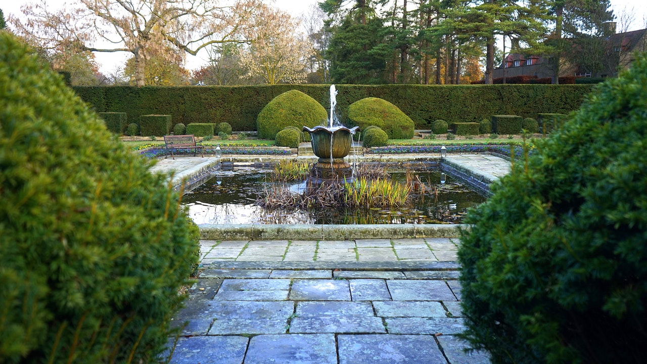 What Is Pond Oxygenation and Why Is It Important