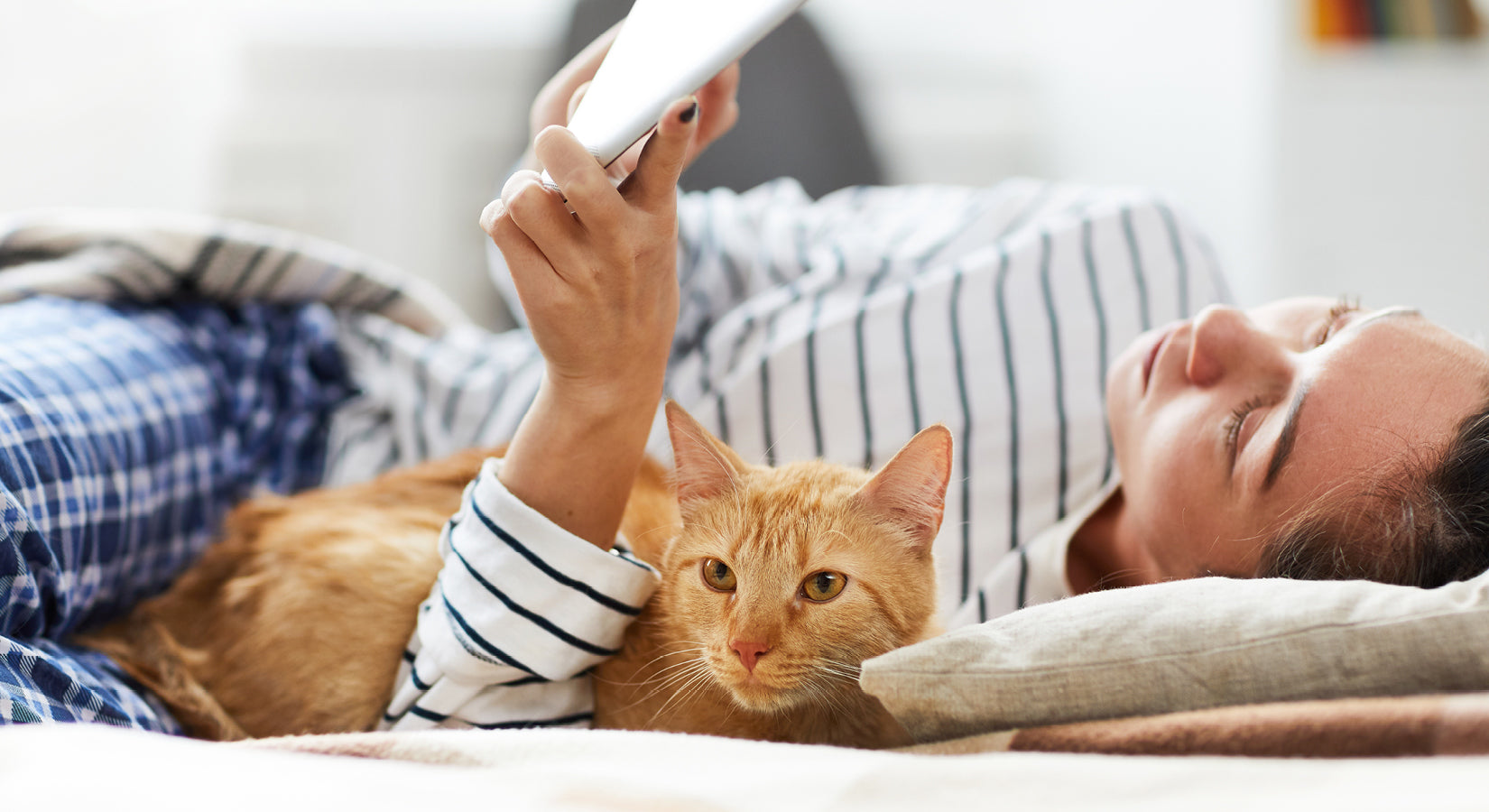 Co-dependent or casual? New quiz reveals what type of relationship you have with your cat