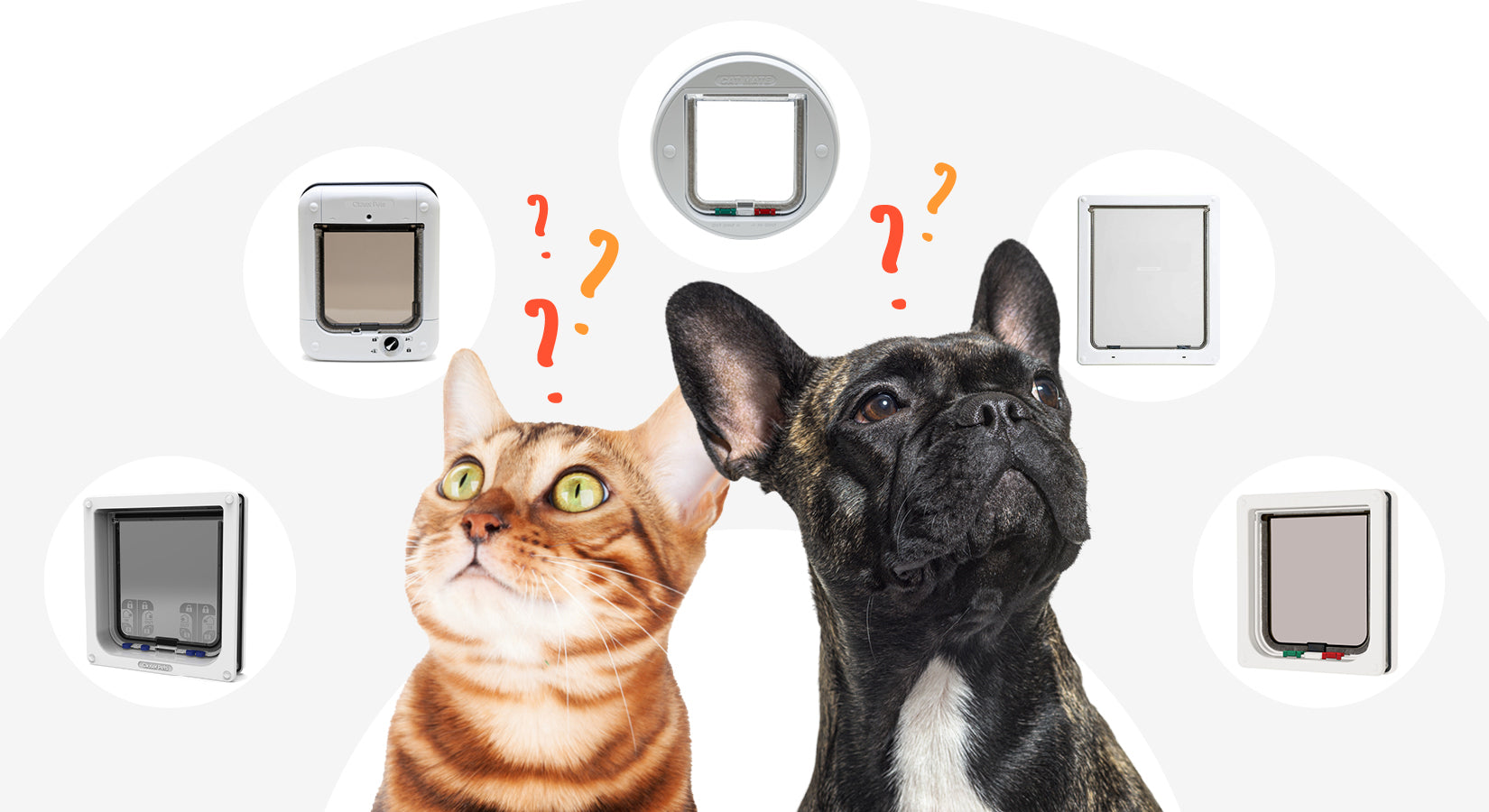 Your essential guide to dog doors and cat flaps