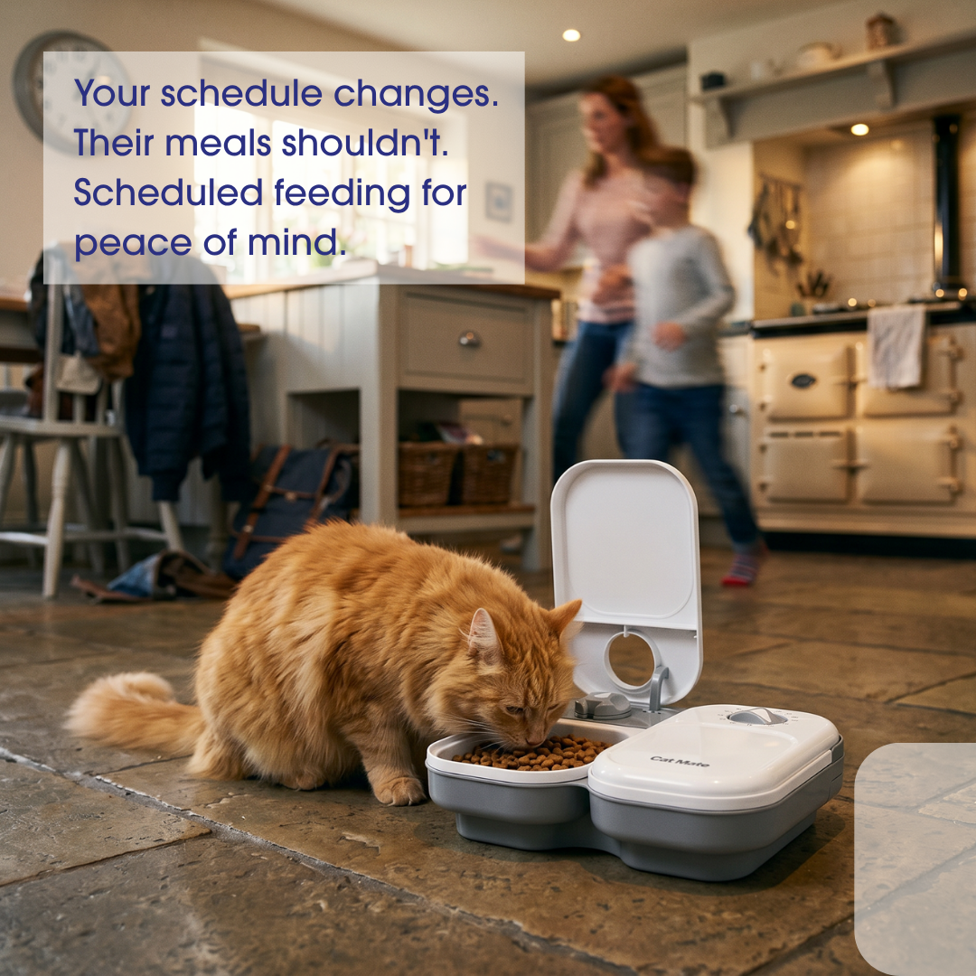 Cat Mate Two-meal Automatic Dry/Wet Food Pet Feeder (C200)