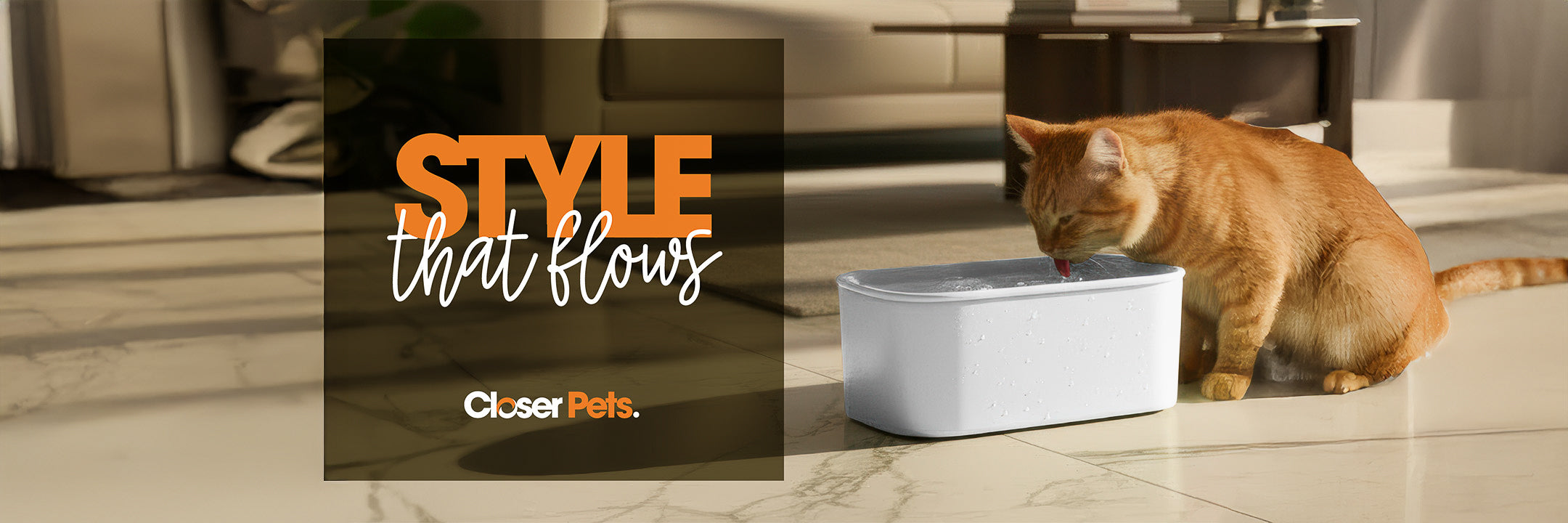 Cat drinking from a water fountain with 'Closer Pets' branding and 'Style that flows' text.