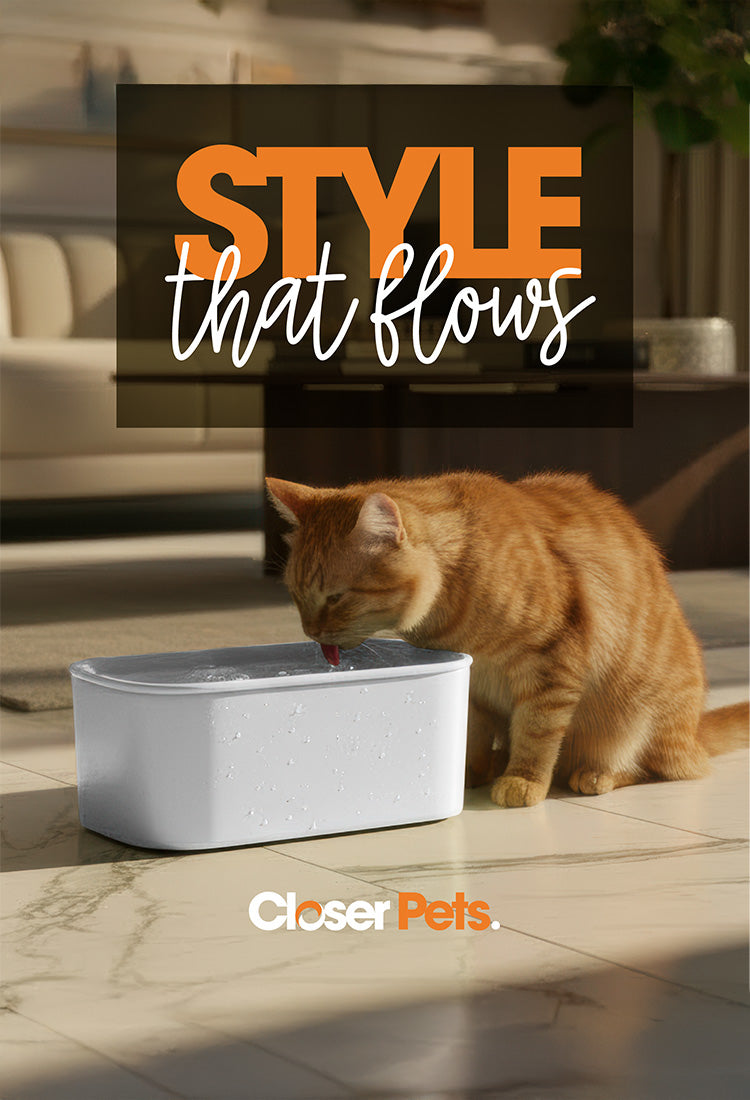 Cat drinking from a water fountain with 'Style that flows' text and 'Closer Pets' branding.