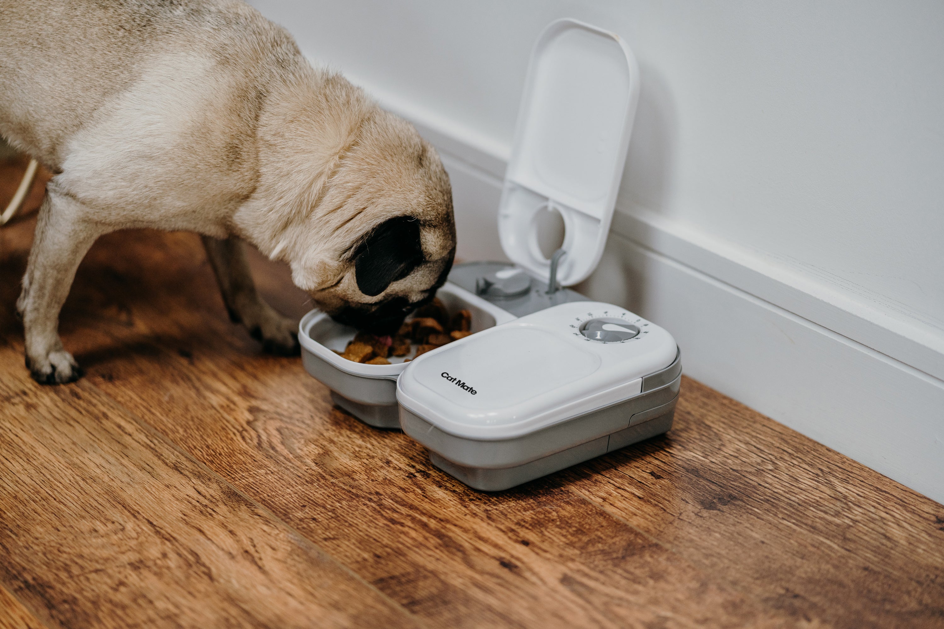 Cat Mate Two meal Automatic Dry Wet Food Pet Feeder C200