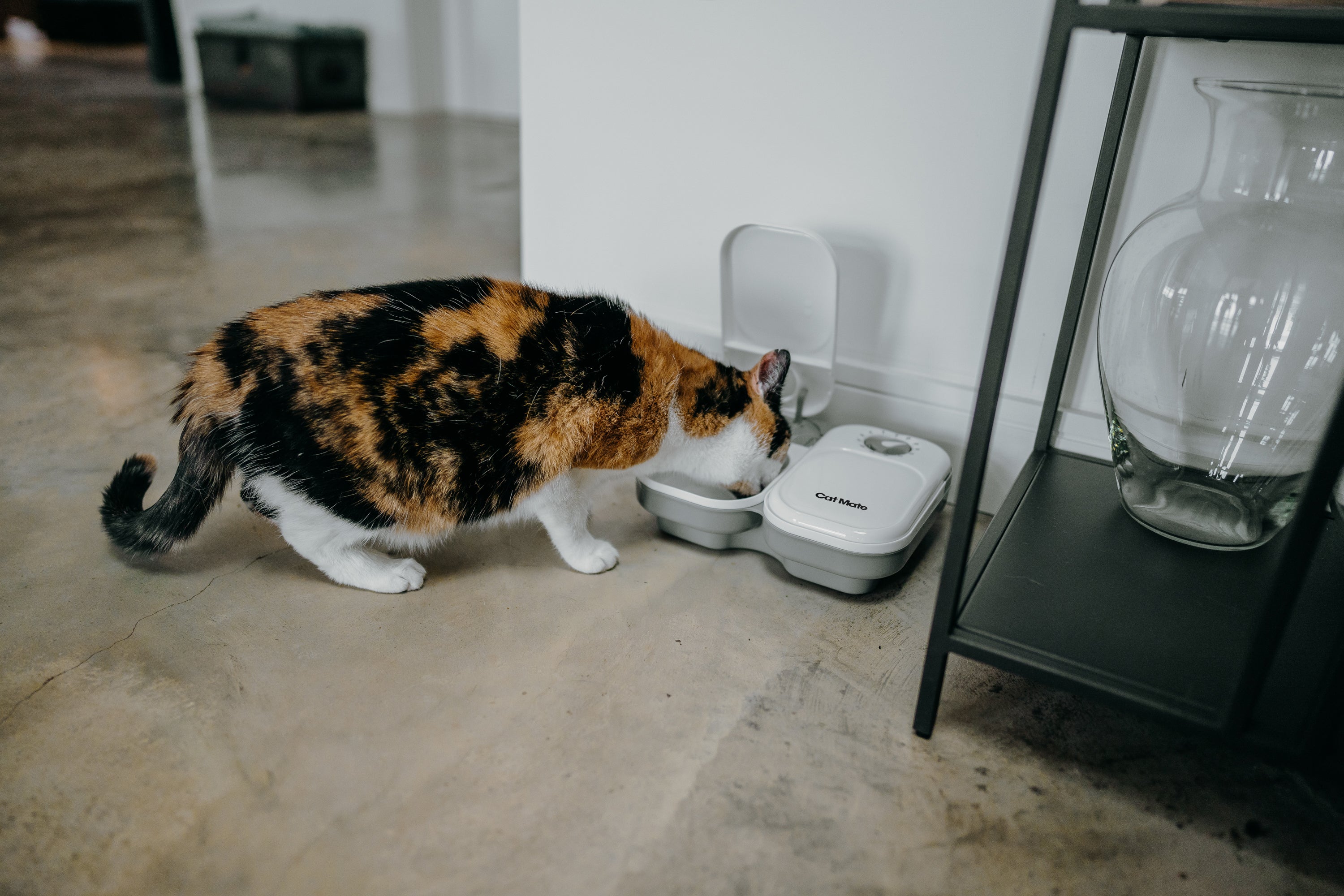 Cat Mate Two-meal Automatic Dry/Wet Food Pet Feeder (C200)