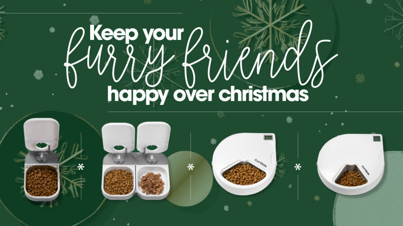 Promotional graphic for pet food dispensers with text 'Keep your furry friends happy over Christmas' on a green background.