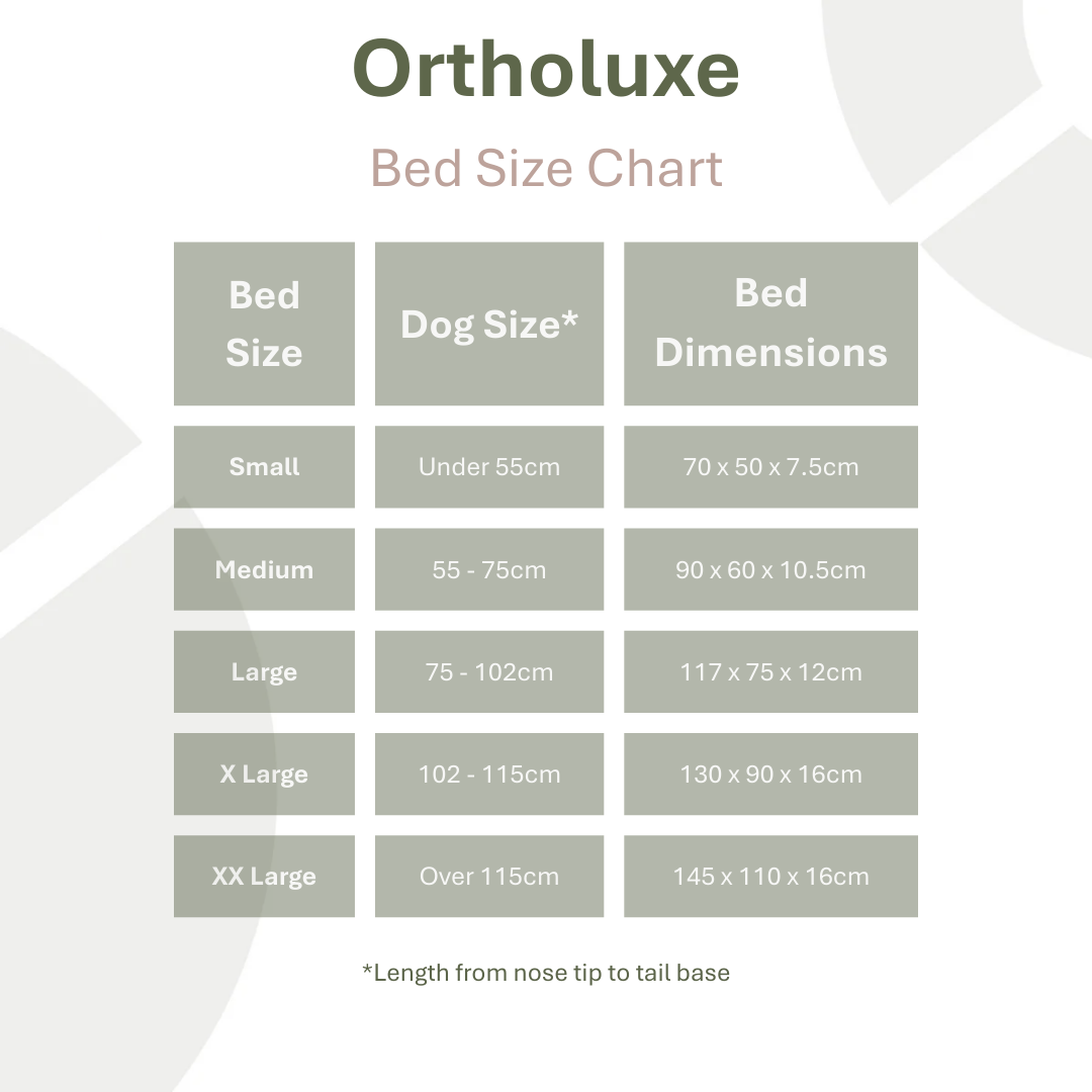 OrthoLuxe Bed for Dogs