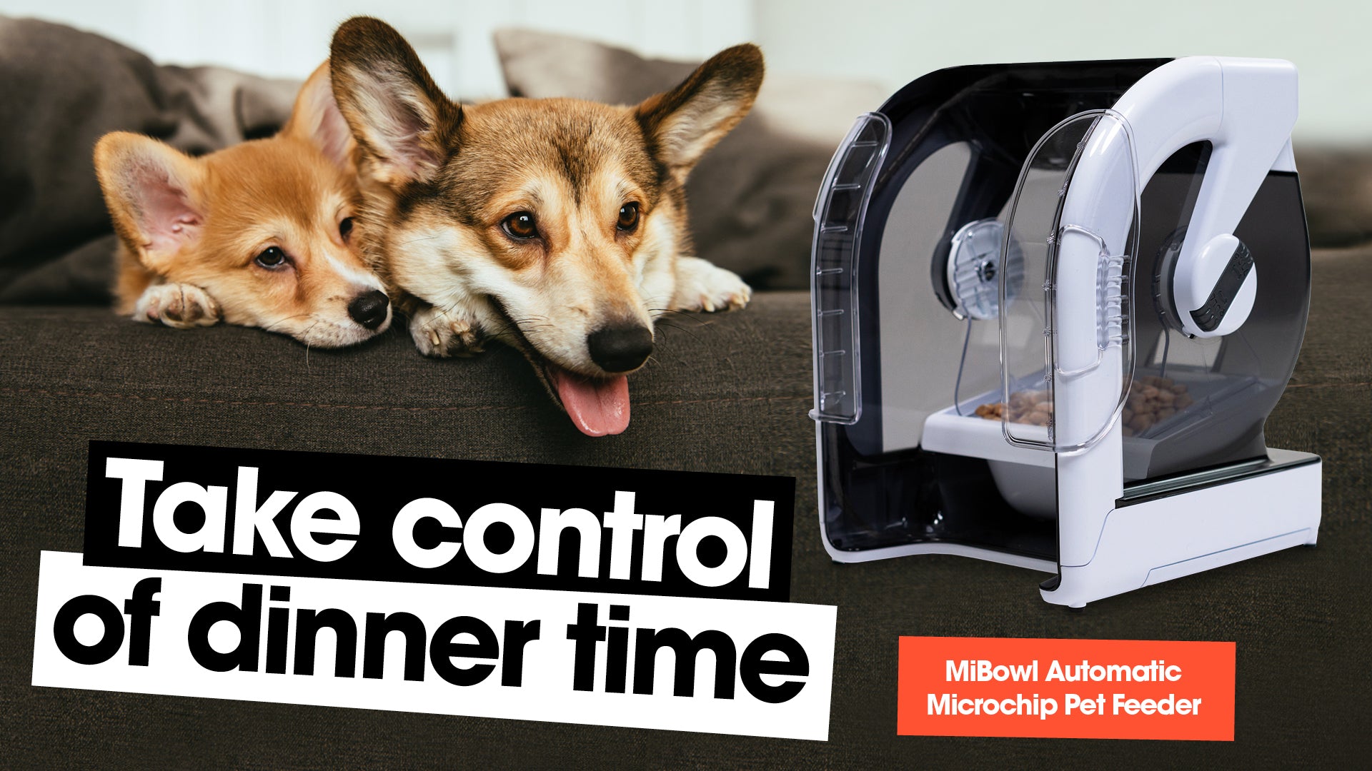 Automatic pet 2024 feeder microchip