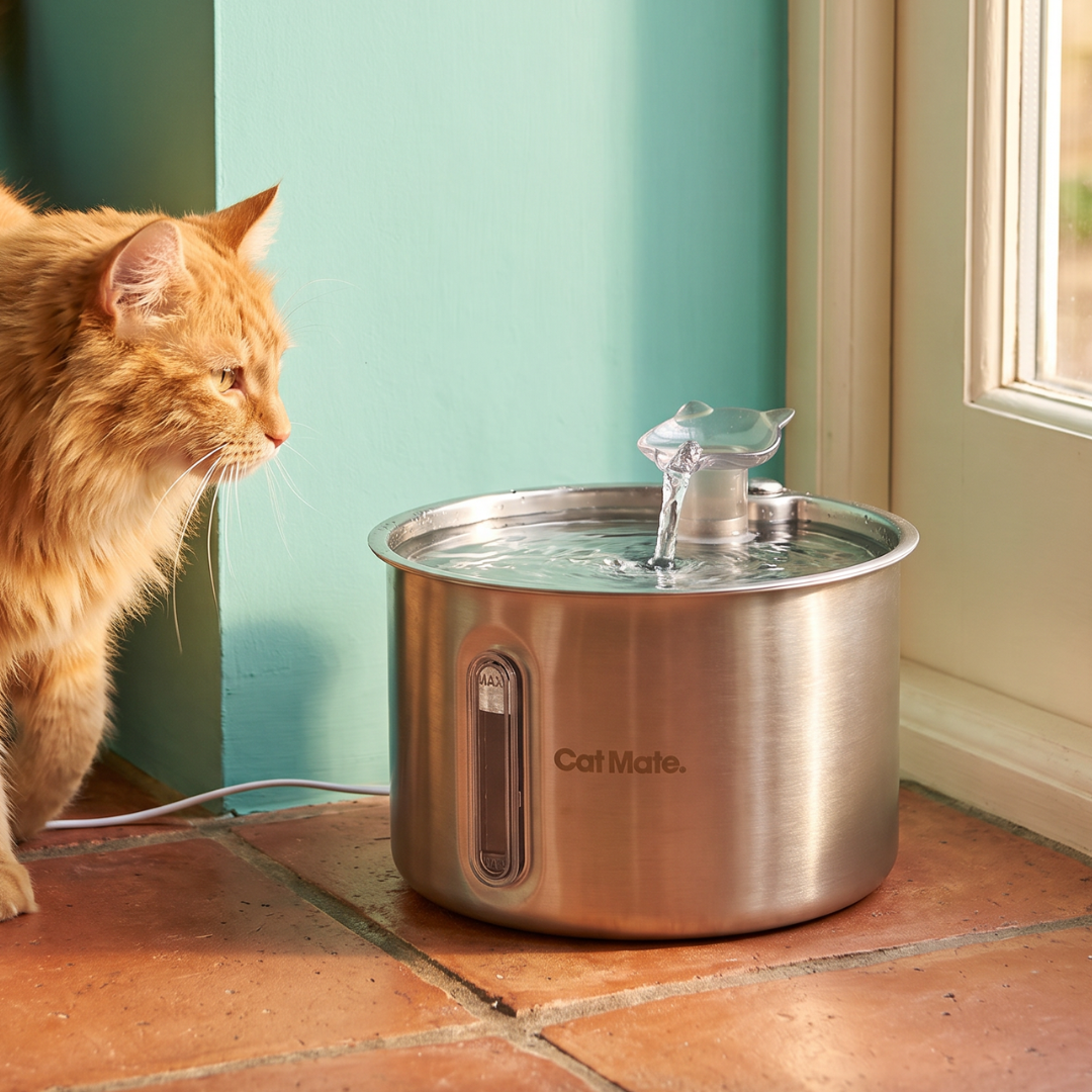 A Cat Mate stainless steel pet water fountain with the wide cat-head shaped shorter spout sits on a terracotta tile floor next to an orange tabby cat, with a teal wall and window in the background.