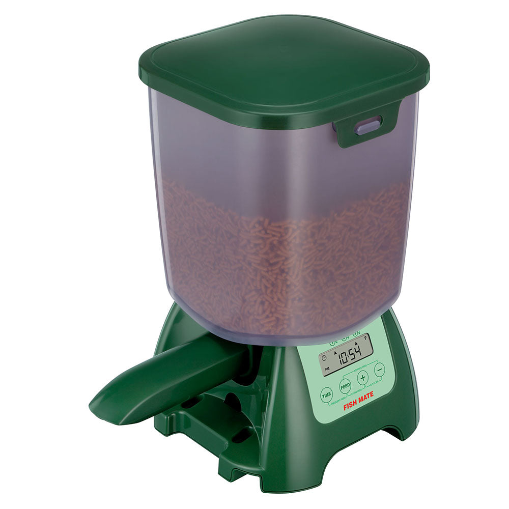 Automatic fish food feeder for outlet ponds