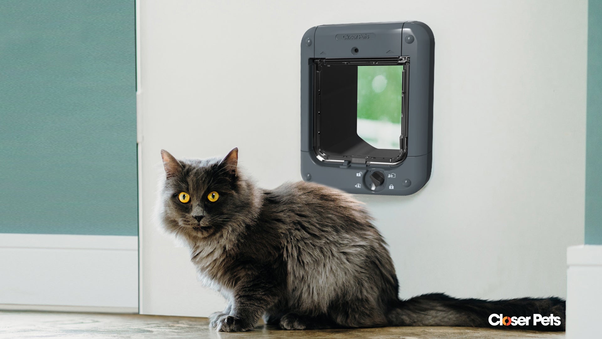 Chip activated shop cat flap