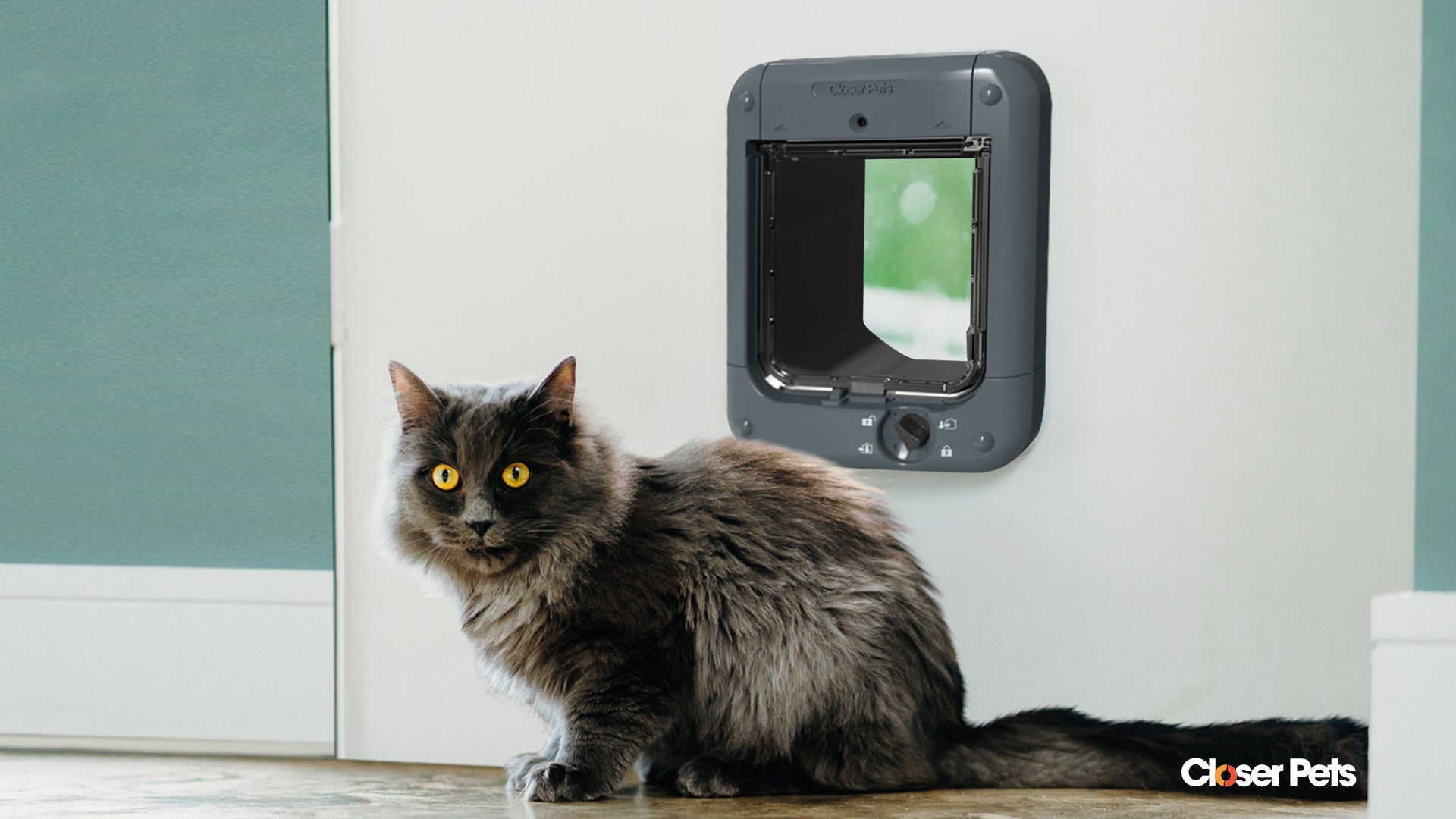 Closer Pets Microchip Activated Weatherproof Flap / Door with Manual Lock – Anthracite Dark Grey (CP360G)