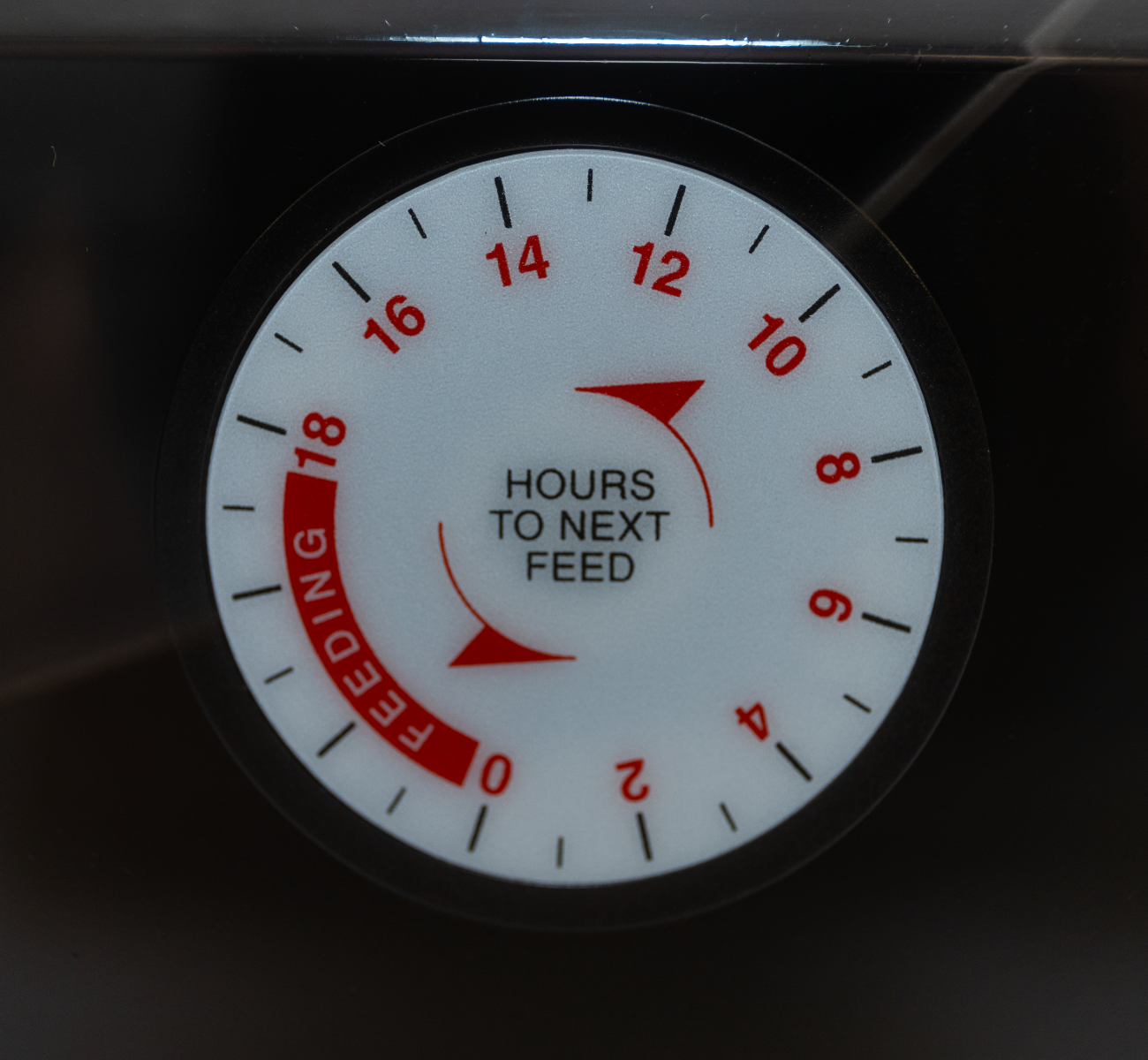 Fish mate p21 automatic pond best sale fish feeder