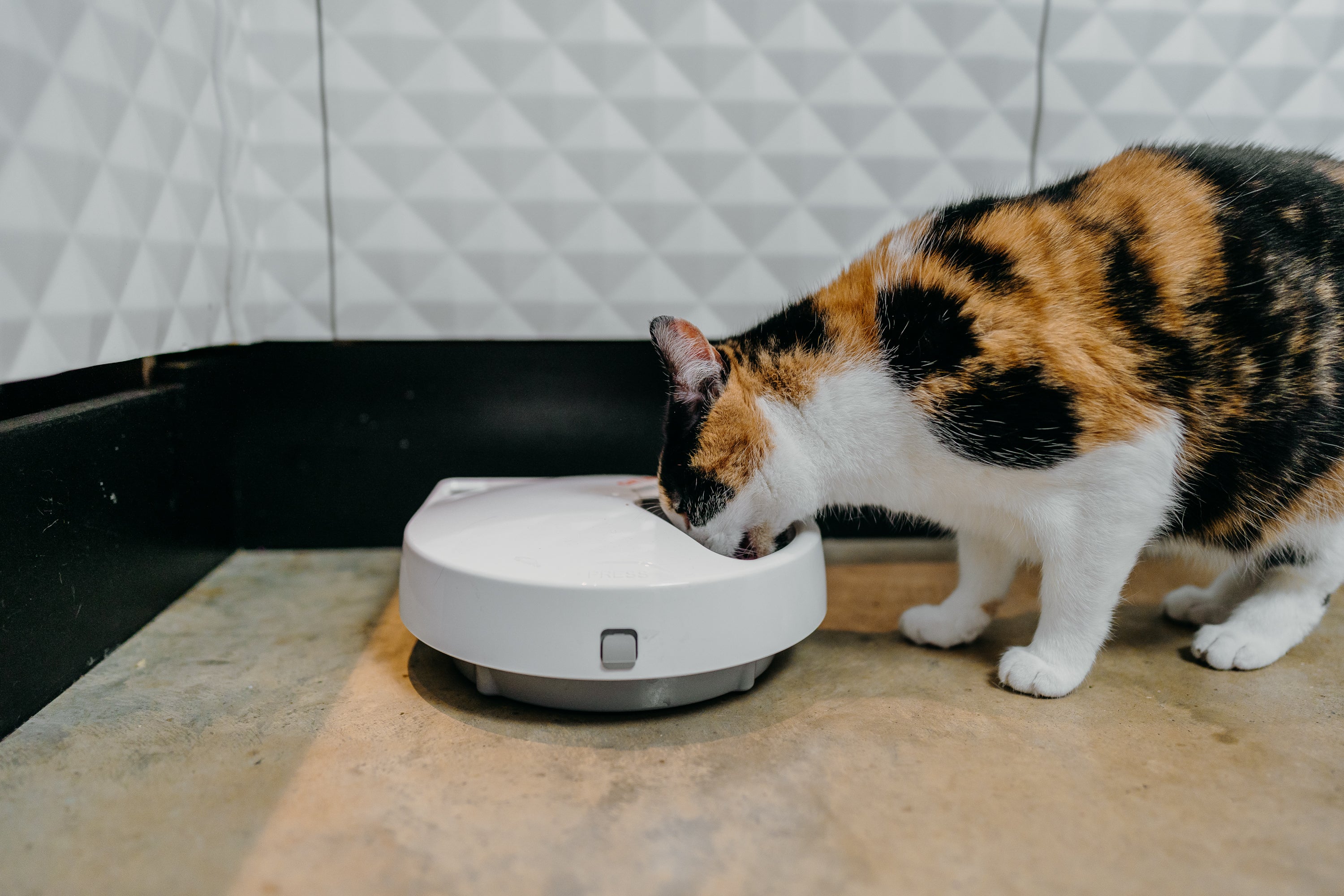 Cat Mate Five-meal Automatic Pet Feeder with Digital Timer (C500)