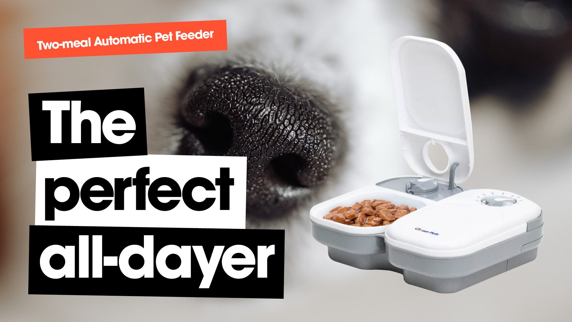 Lusmo automatic sales pet feeder